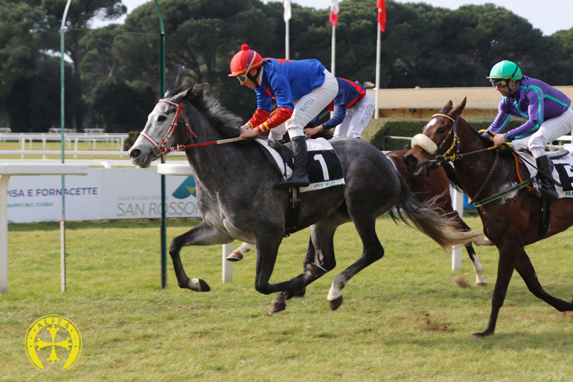 Corse in ippodromo: Anubi da Clodia e Zeta Penny hanno vinto a Pisa