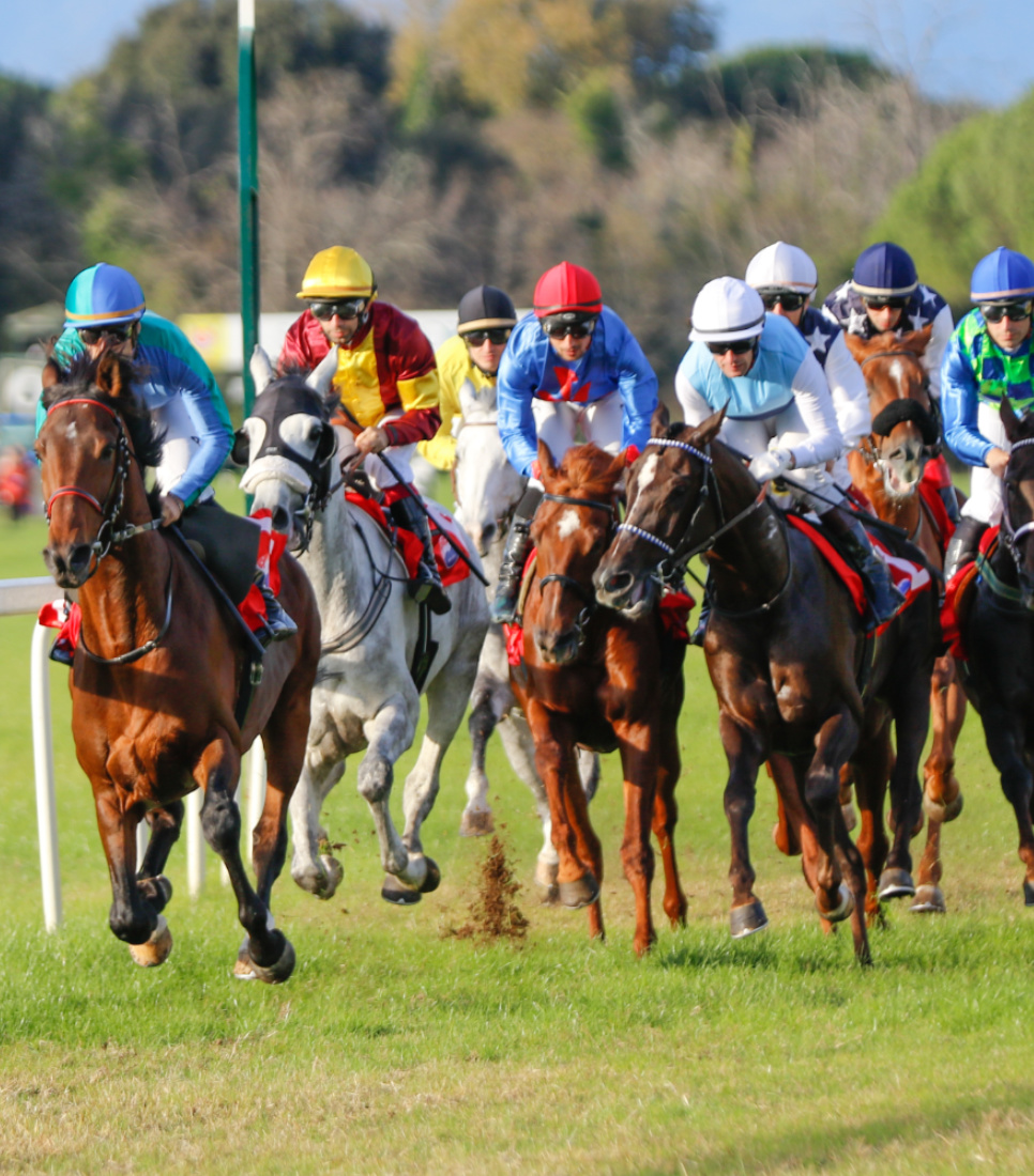 Corse in ippodromo: Brughel ha vinto a Follonica 