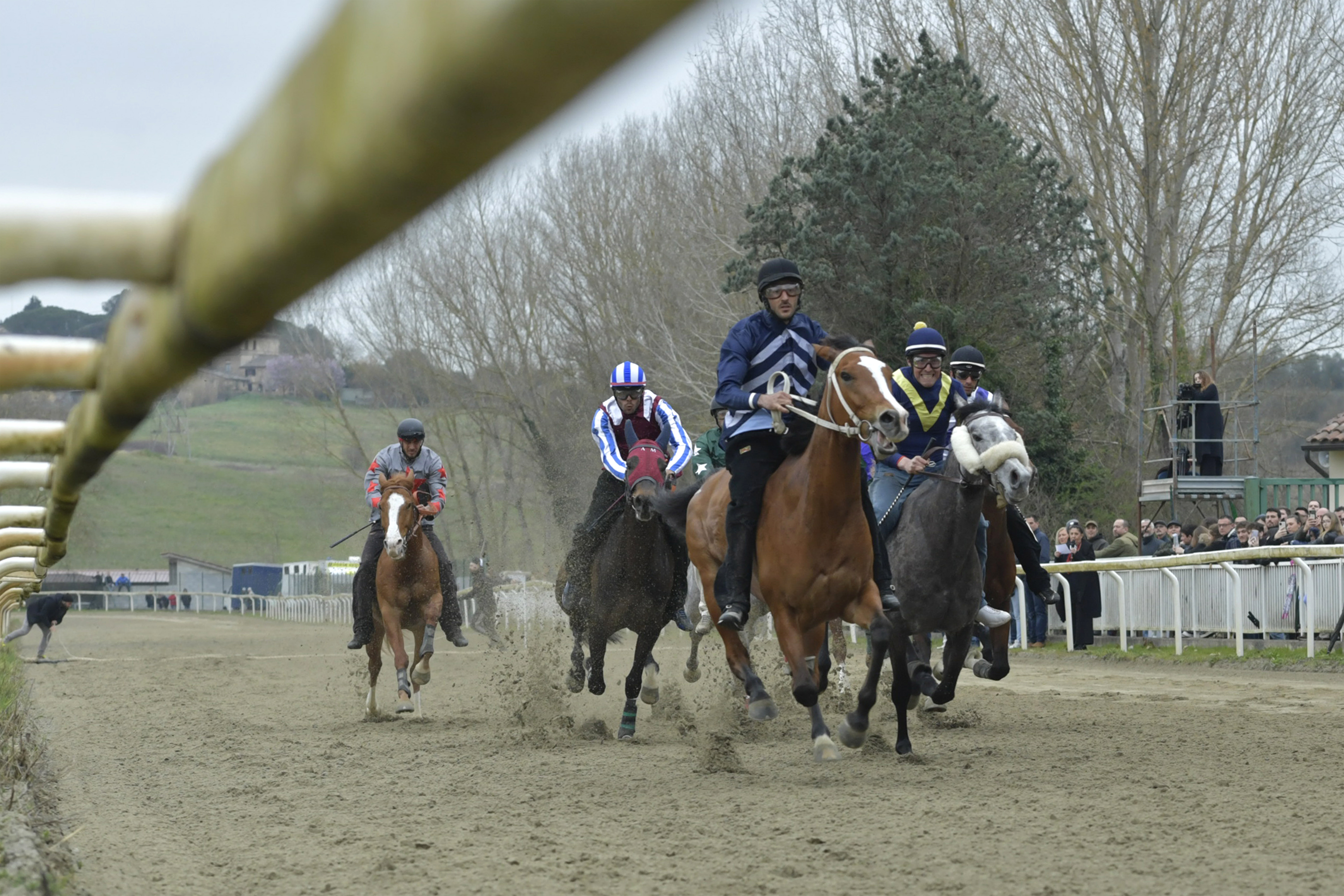 Il mondo dei cavalli e l'Università per Stranieri si uniscono in occasione delle corse a Pian delle Fornaci