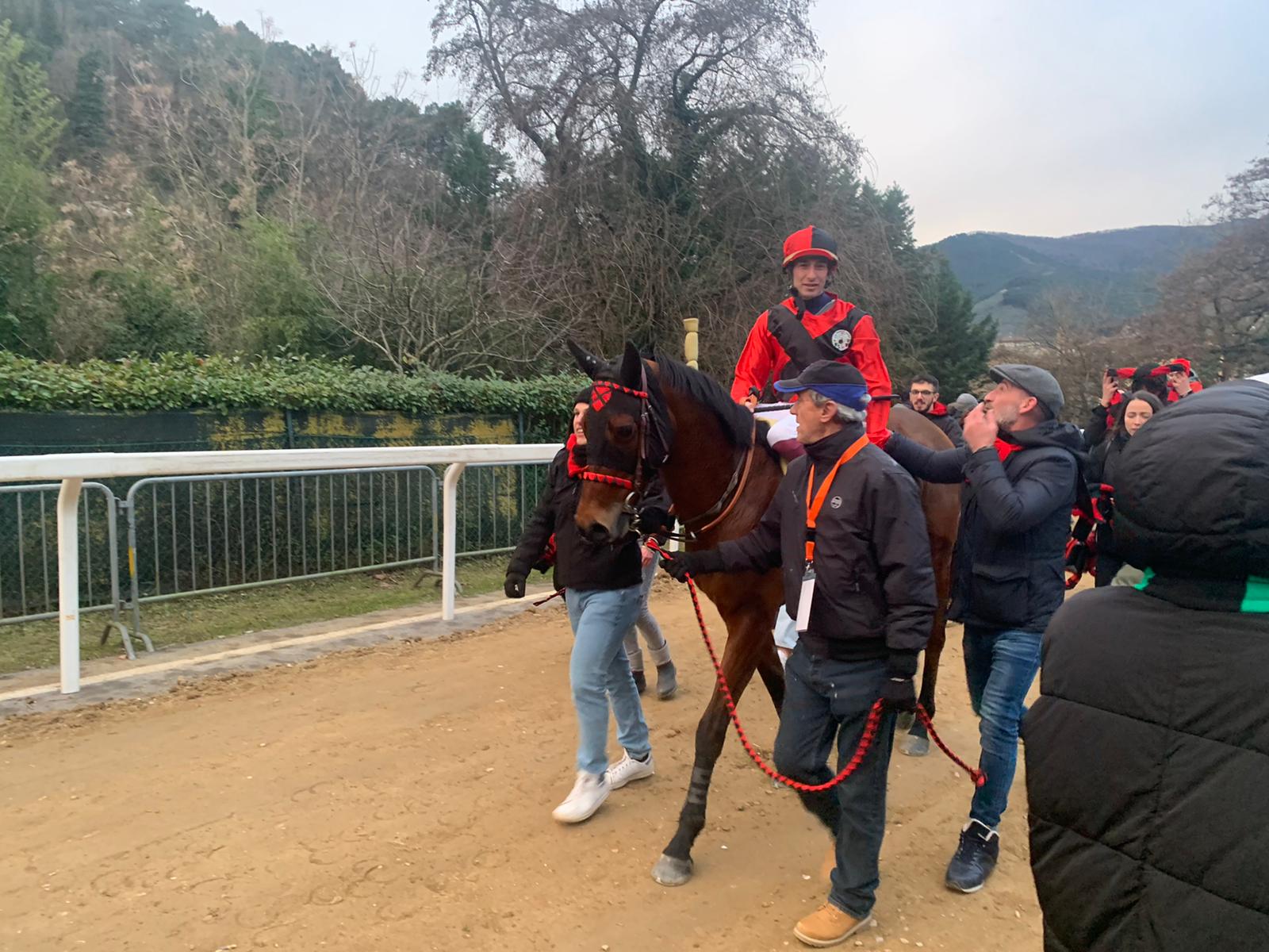 Ceommo Ramon è arrivato secondo in una corsa per cavalli purosangue