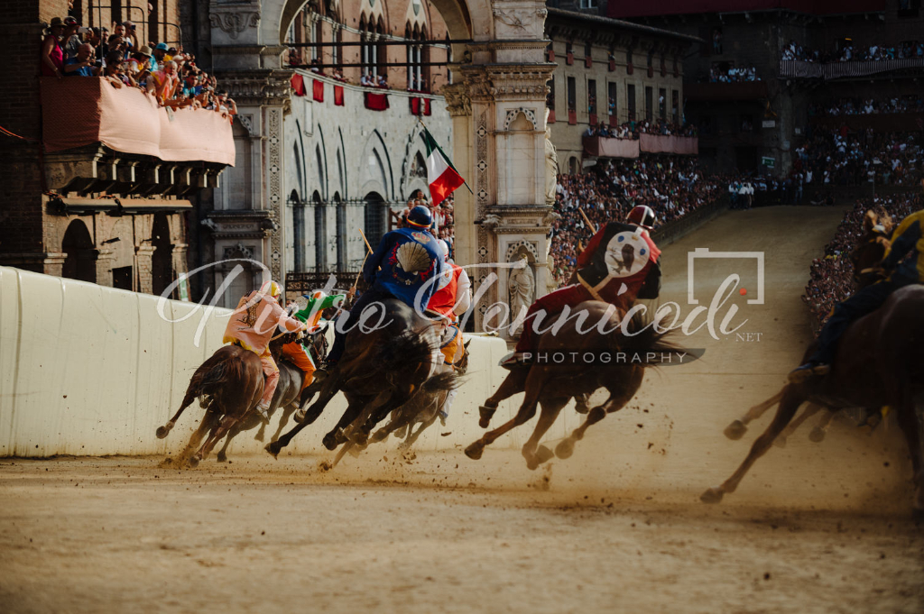 Palio 2 luglio 2023: le ipotesi sulle monte