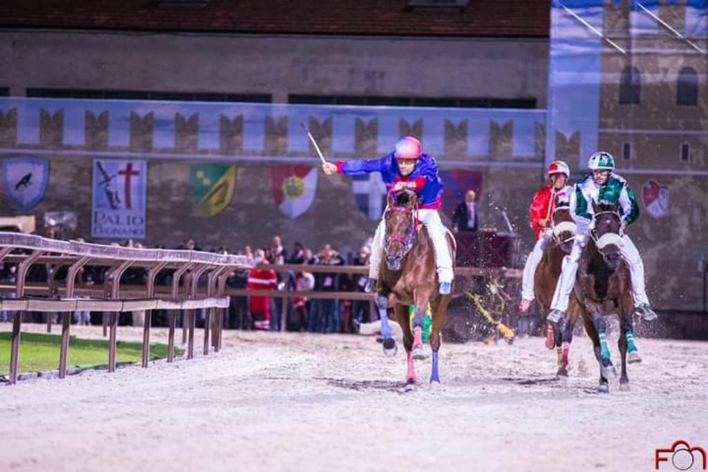 E' morto il cavallo Genarmoly