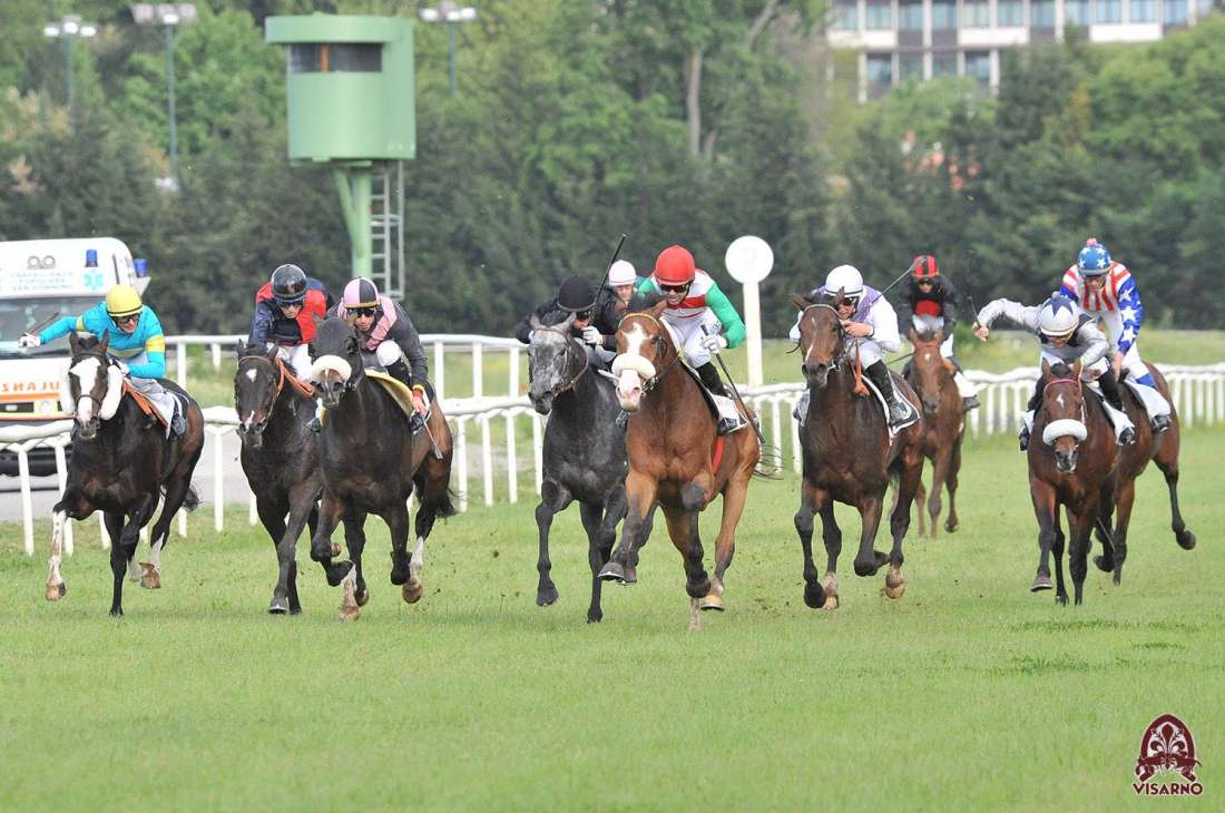 Corse in ippodromo: oggi a Firenze il Derby e il Gran Premio dell'Anglo-Arabo
