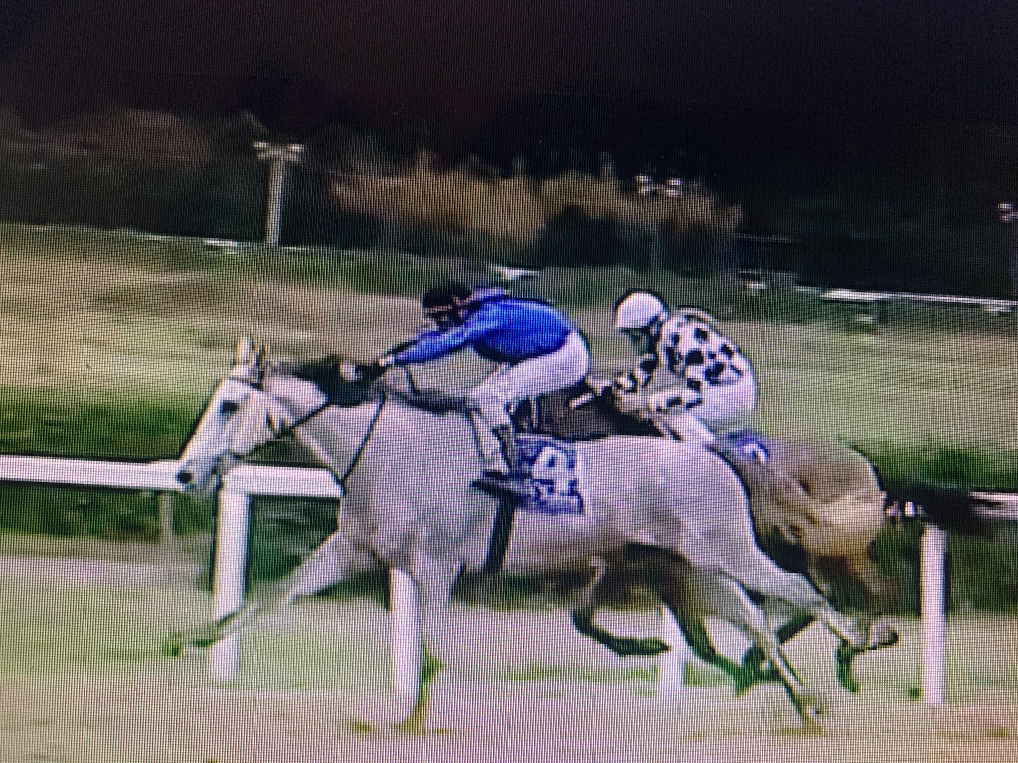 Corse in ippodromo: Damiso ha vinto a Livorno