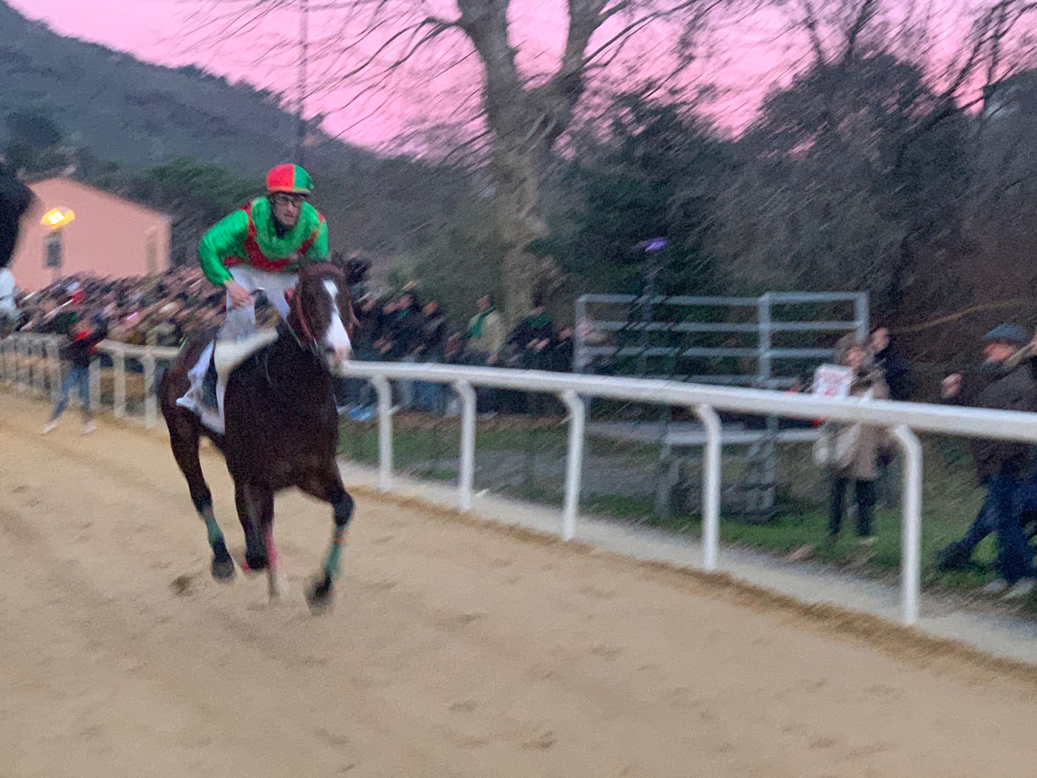 Palio di Buti: la fotogallery