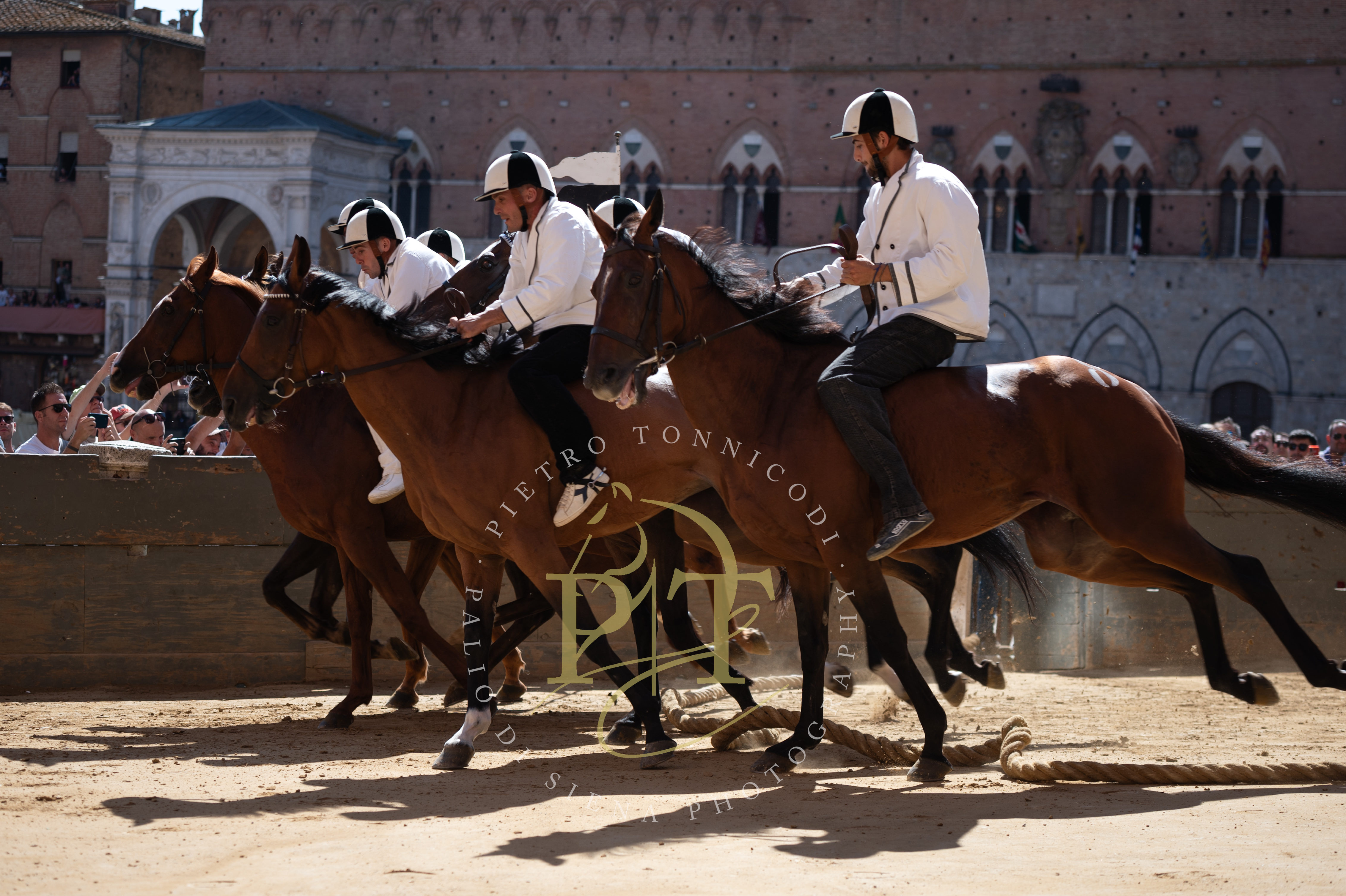 Palio 2 luglio 2024: ecco tutti i fantini a disposizione
