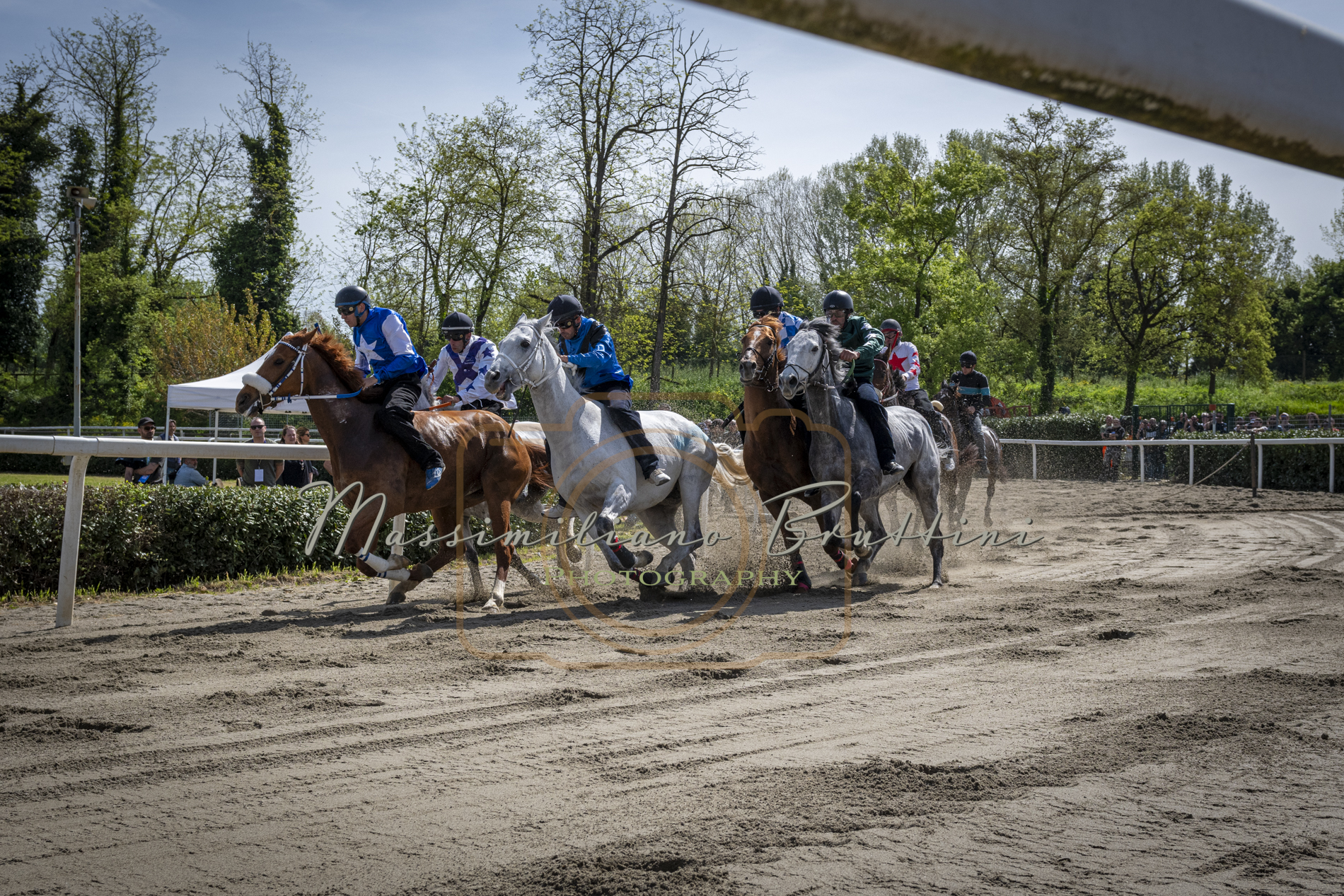 Fucecchio: il 27 aprile ci sarà una corsa organizzata dall'Associazione Proprietari Cavalli da Palio