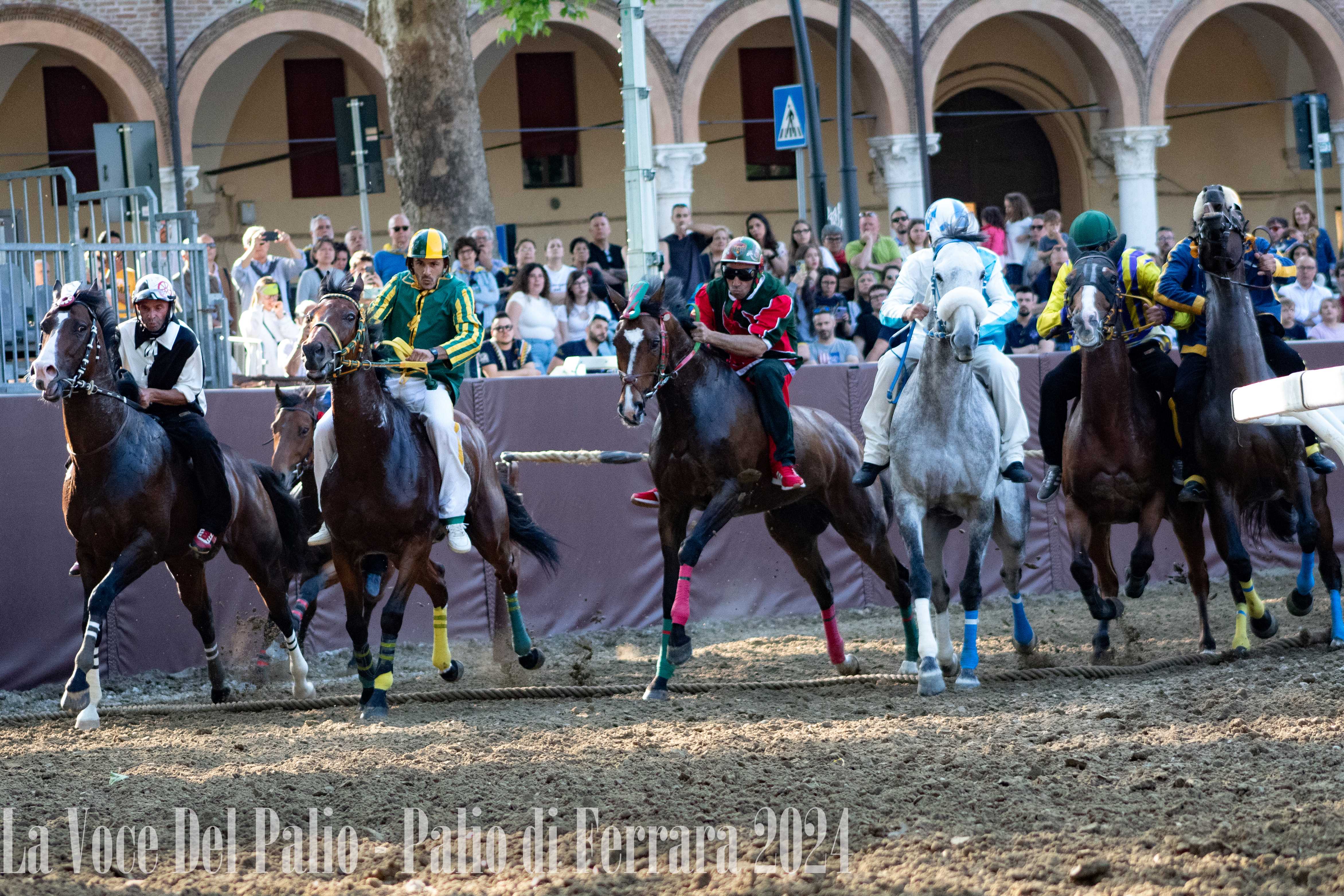 Ferrara: ecco i cavalli che correranno il Palio di questa sera