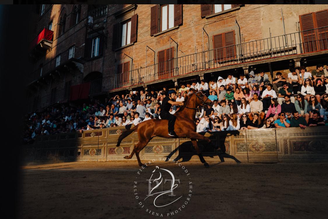 Palio 2 luglio: il programma delle prove regolamentate