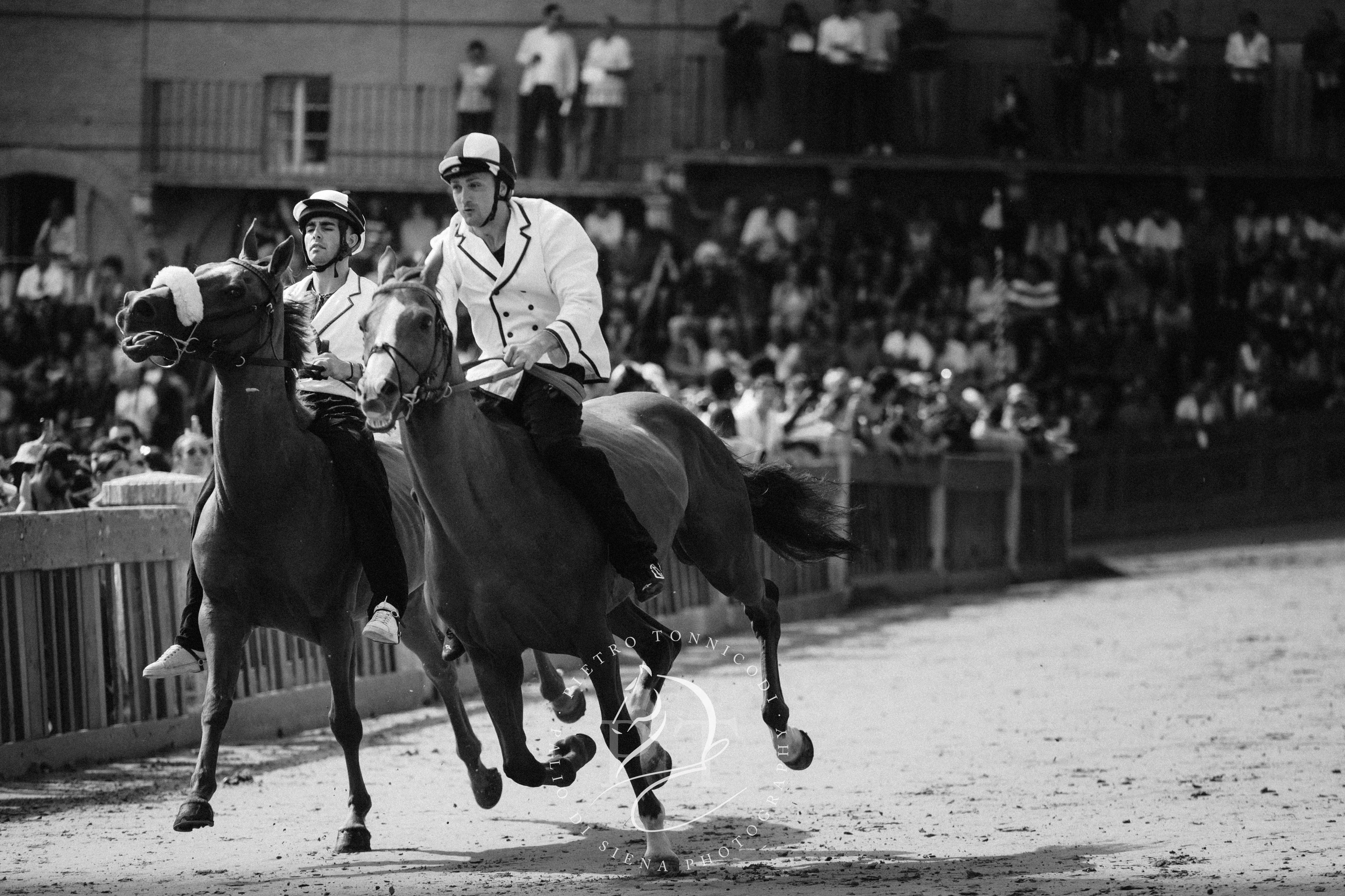 Palio 2 luglio 2024: la fotogallery delle batterie di selezione