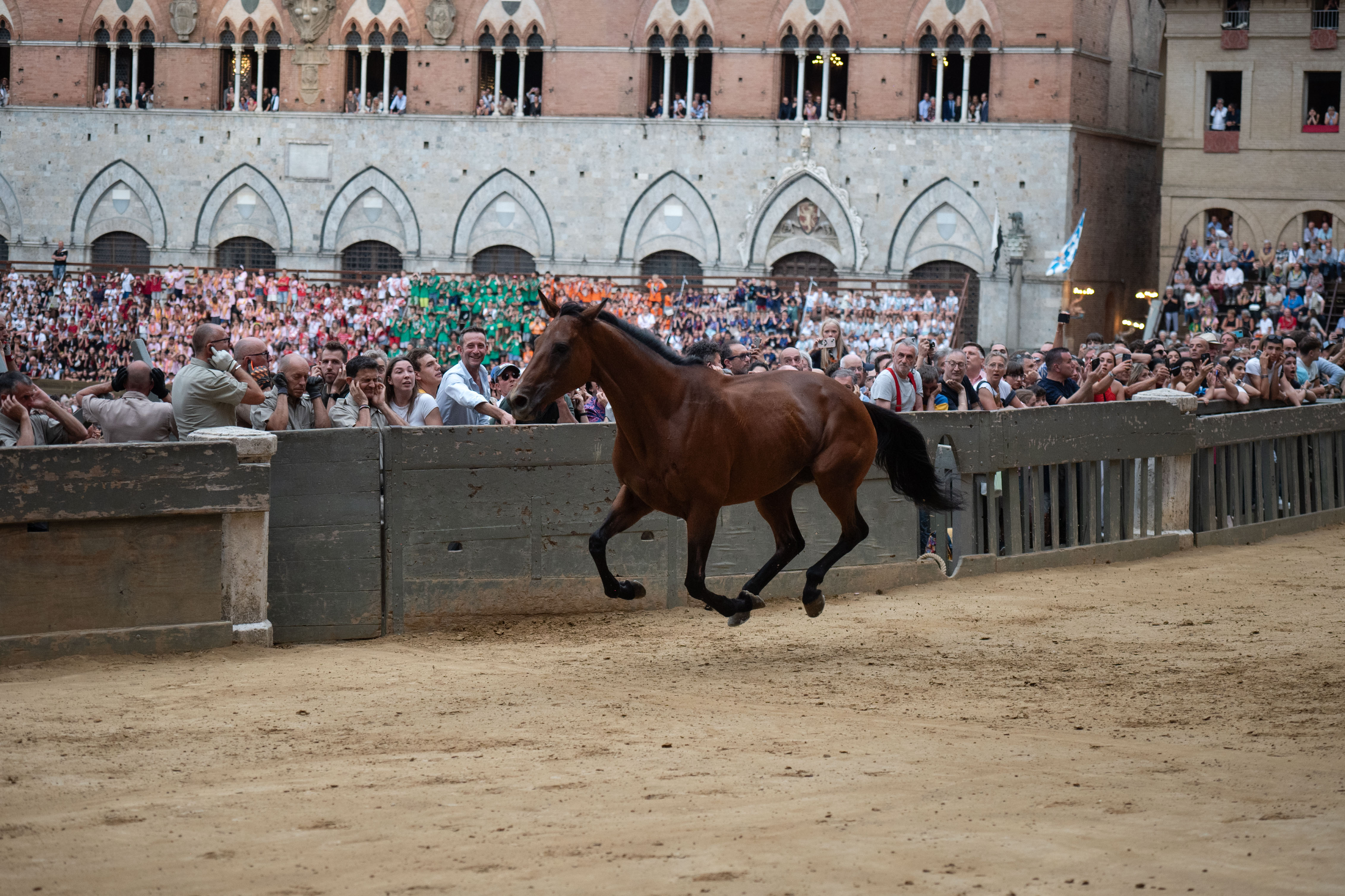 Palio 2 luglio 2024: le foto della Prova Generale