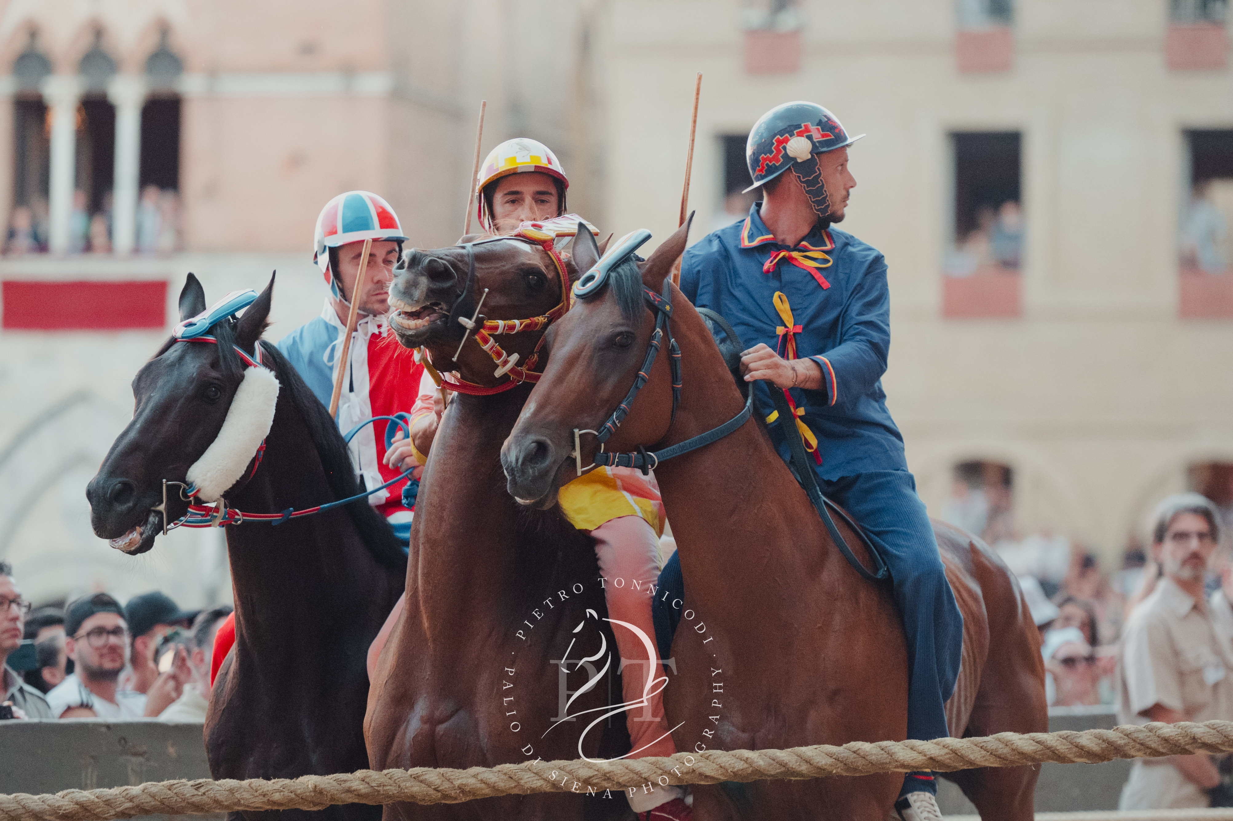 Palio rinviato, la fotogallery