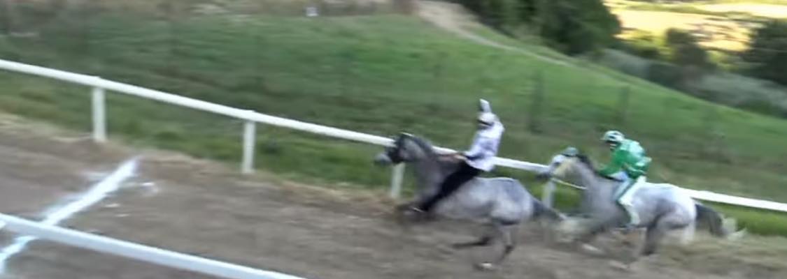 Palio di Casole d'Elsa: vince il Merlo 