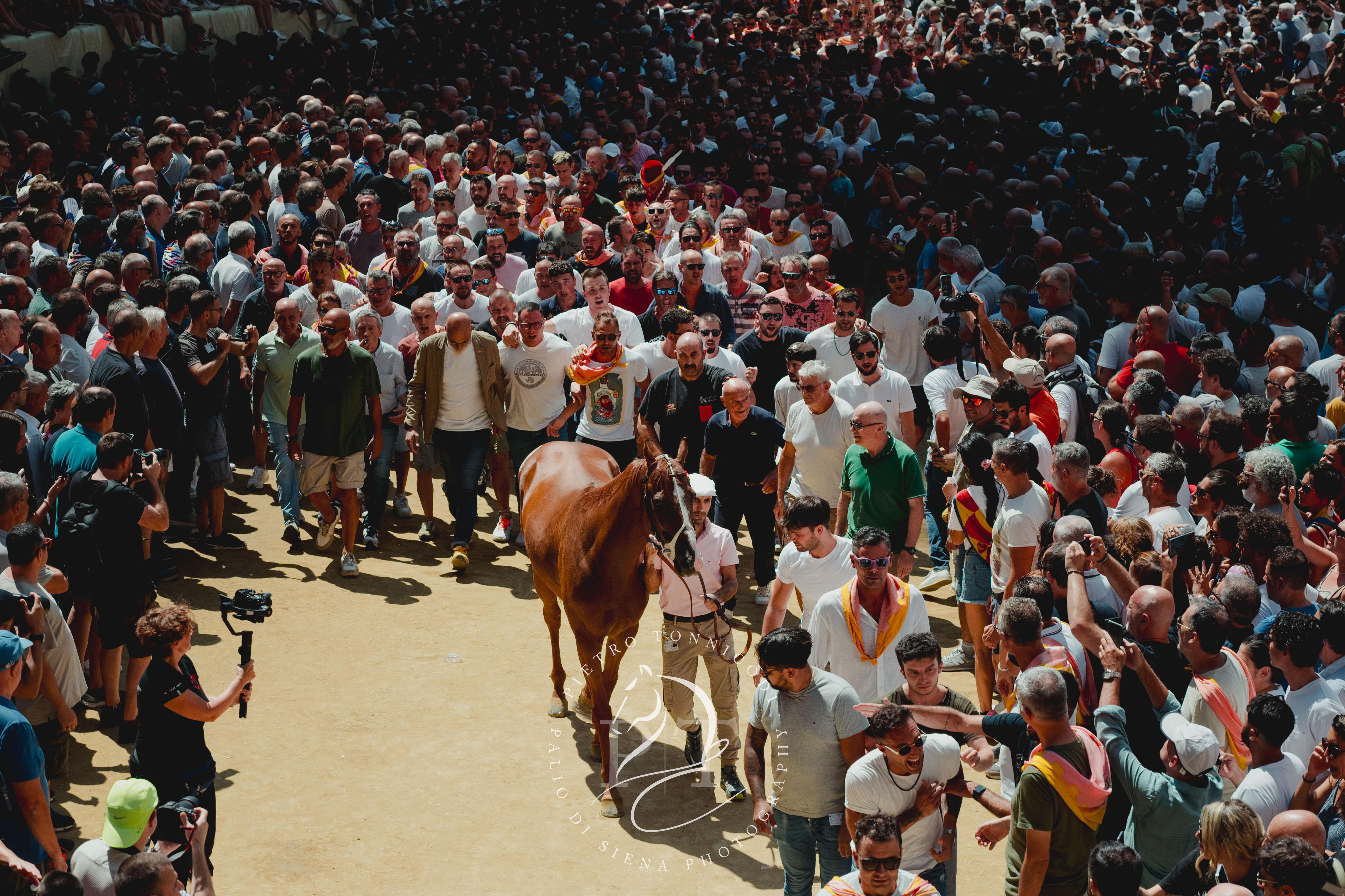 Palio 16 agosto 2024: la fotogallery dell'assegnazione dei cavalli