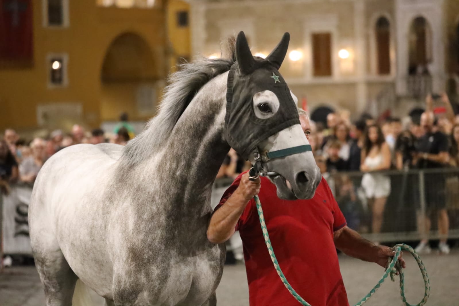 Fermo: assegnati i cavalli