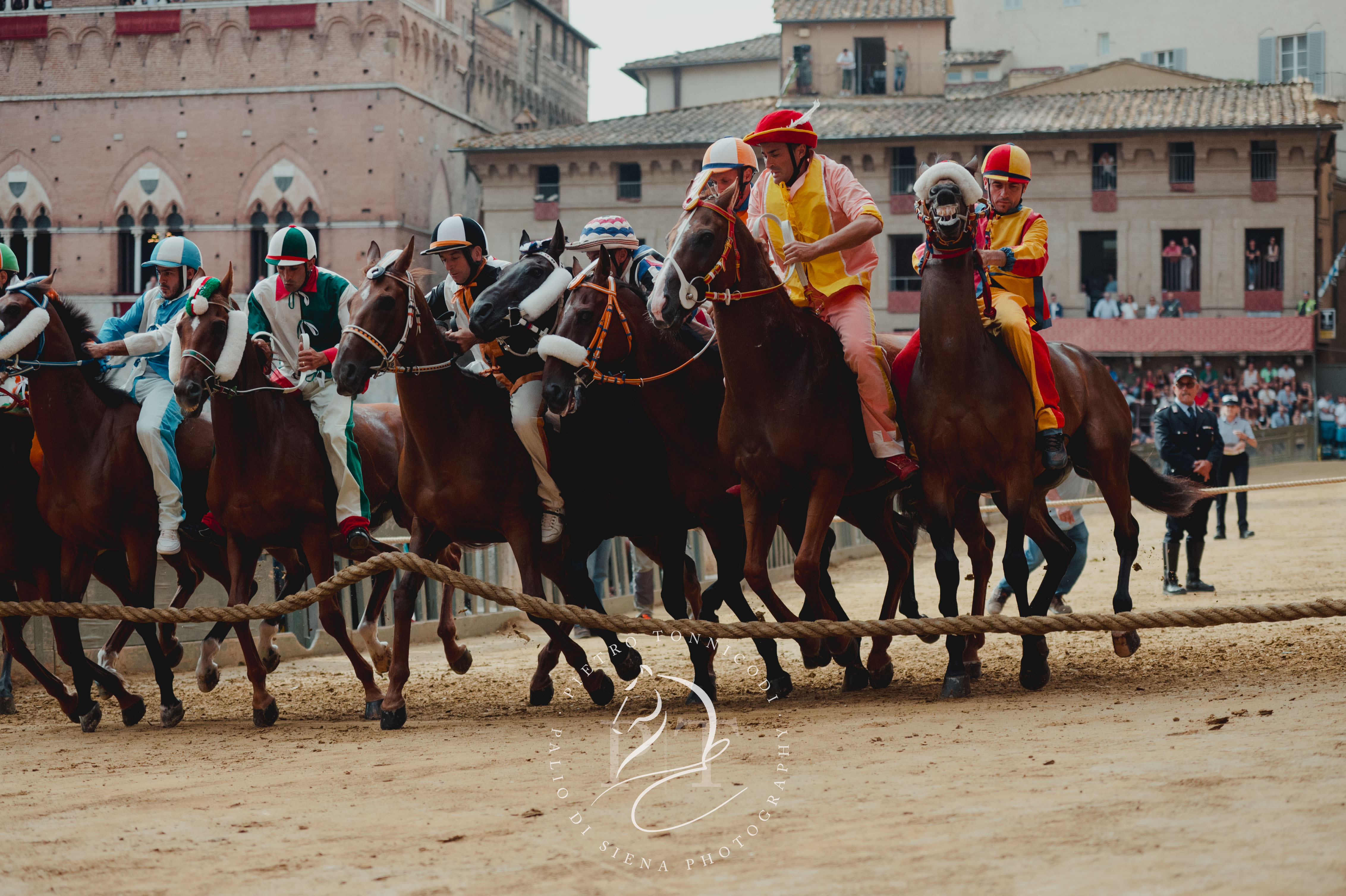 Palio 16 agosto 2024: la fotogallery della Provaccia