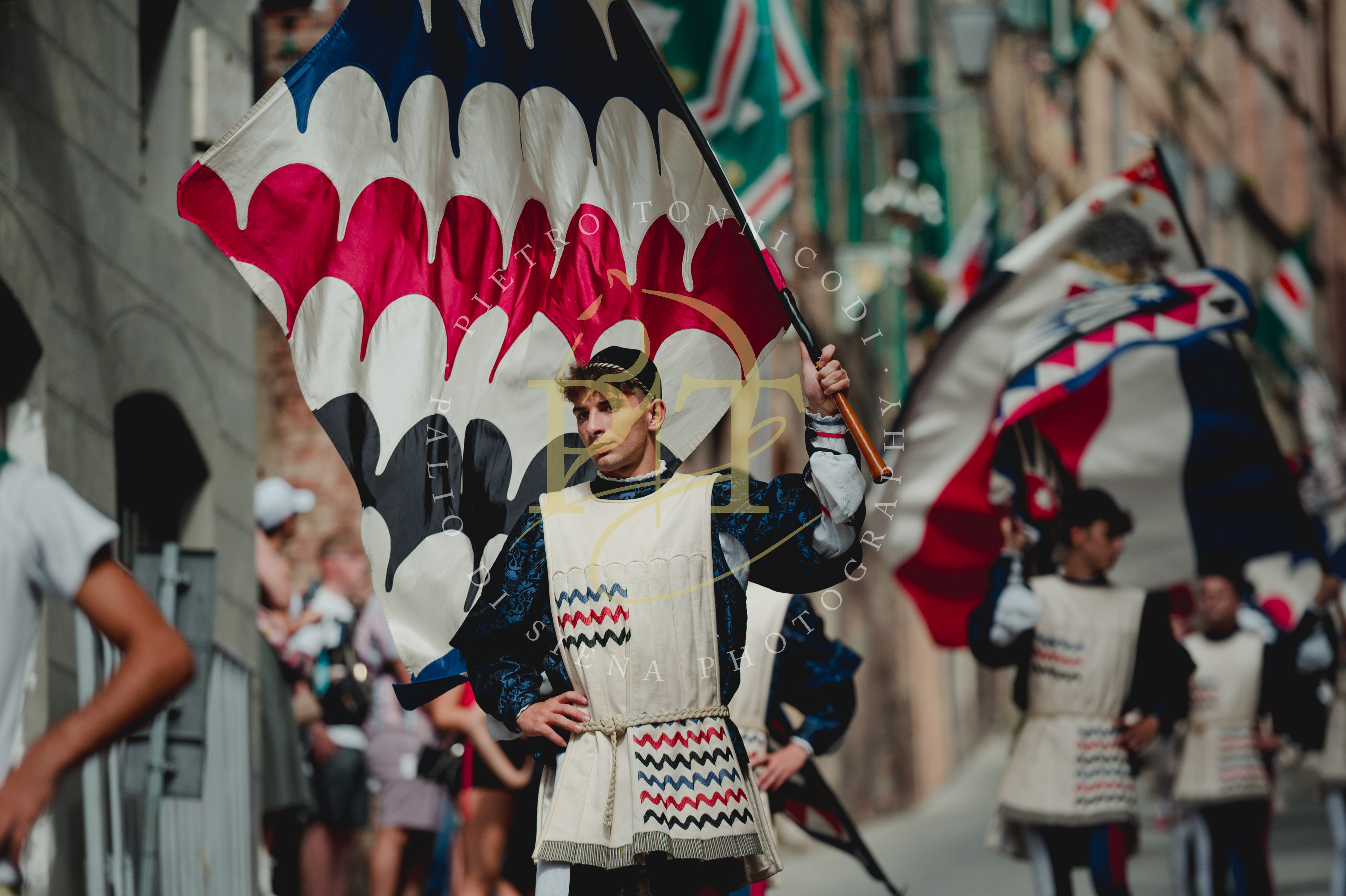 Istrice: oggi è il giorno della Festa Titolare