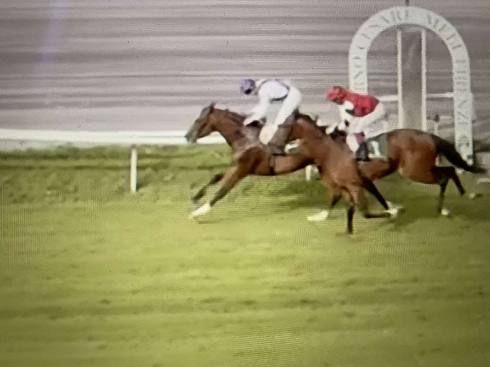 Corse in ippodromo: Gioia Astrale e Gelido Baio vincono a Firenze