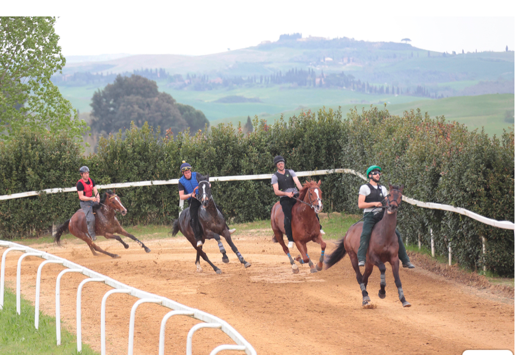 Mociano: annullato l'appuntamento di domani 