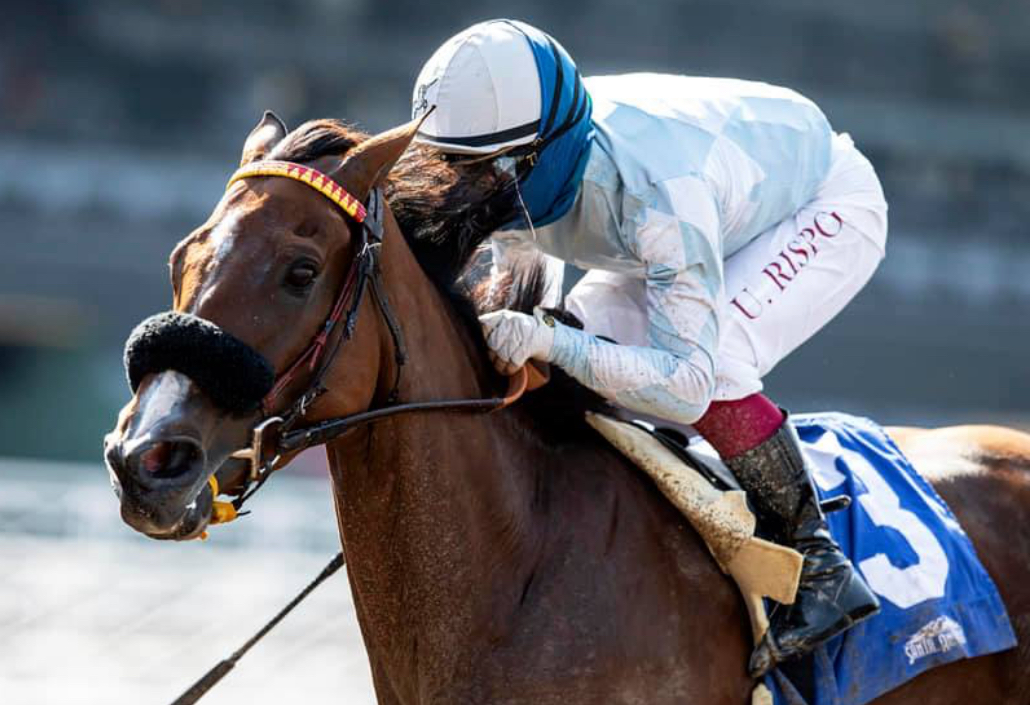 Umberto Rispoli ha vinto la corsa Preakness Stakes