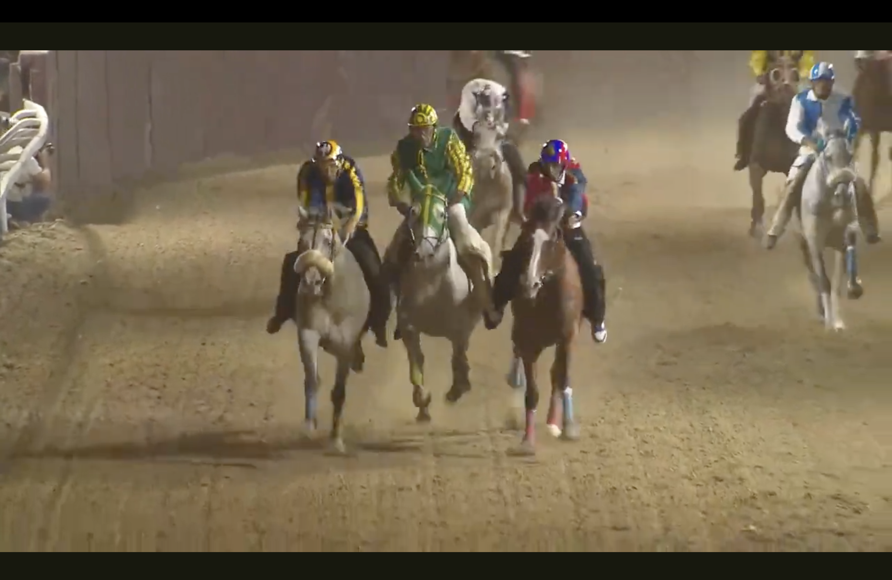 Palio di Ferrara 2025: vince San Giacomo
