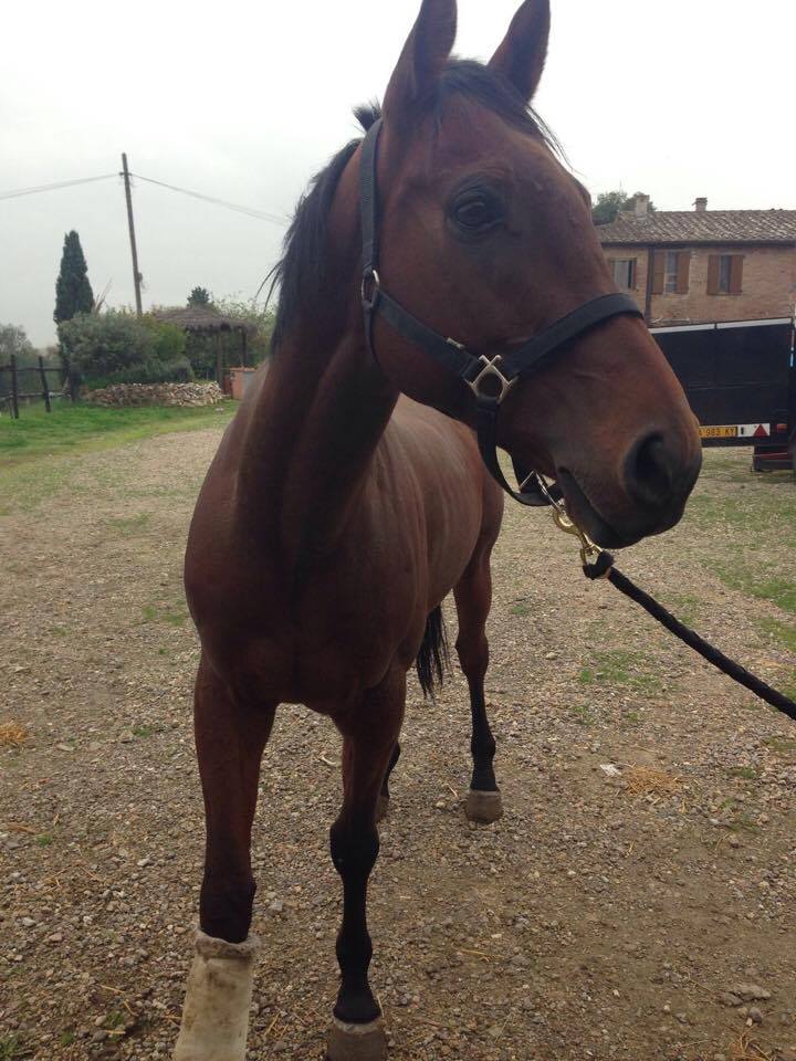 Reynard King è tornato a casa