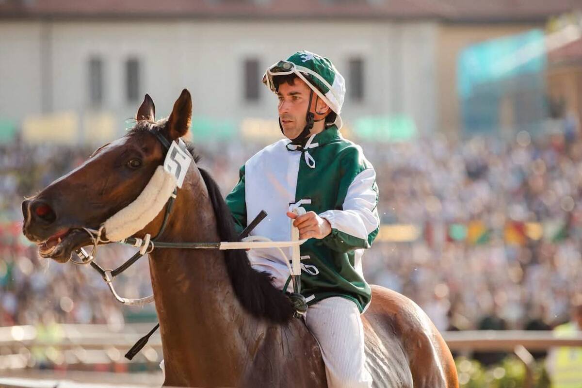 Legnano: Francesco Caria sarà il fantino di San Domenico 