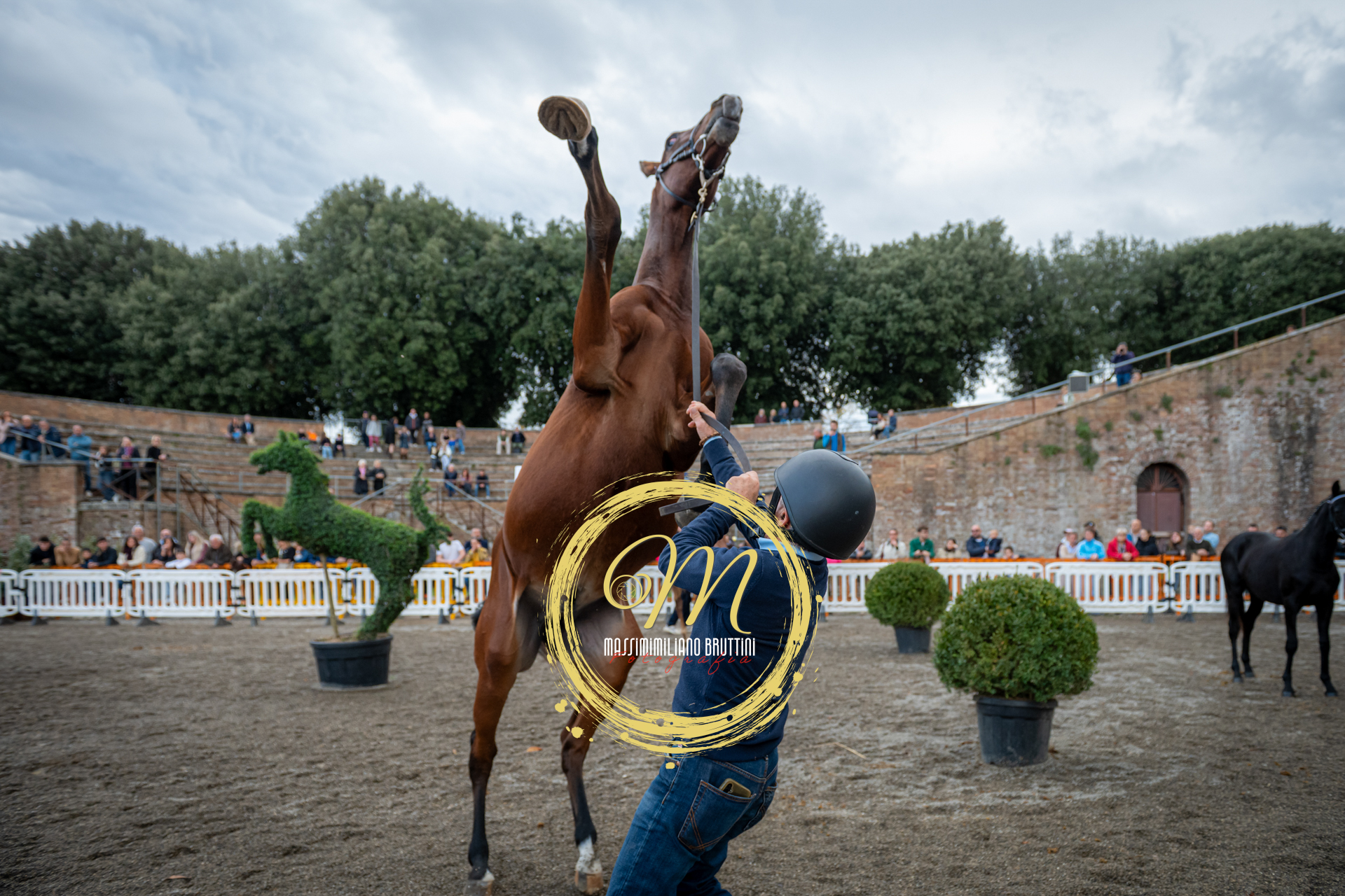 Siena, domani la quinta edizione della Rassegna dei puledri anglo-arabi 