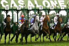 Il calendario delle corse regolari con i cavalli anglo-arabi