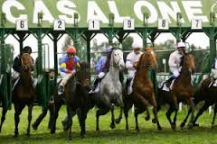 Firenze: oggi una corsa per cavalli anglo-arabi