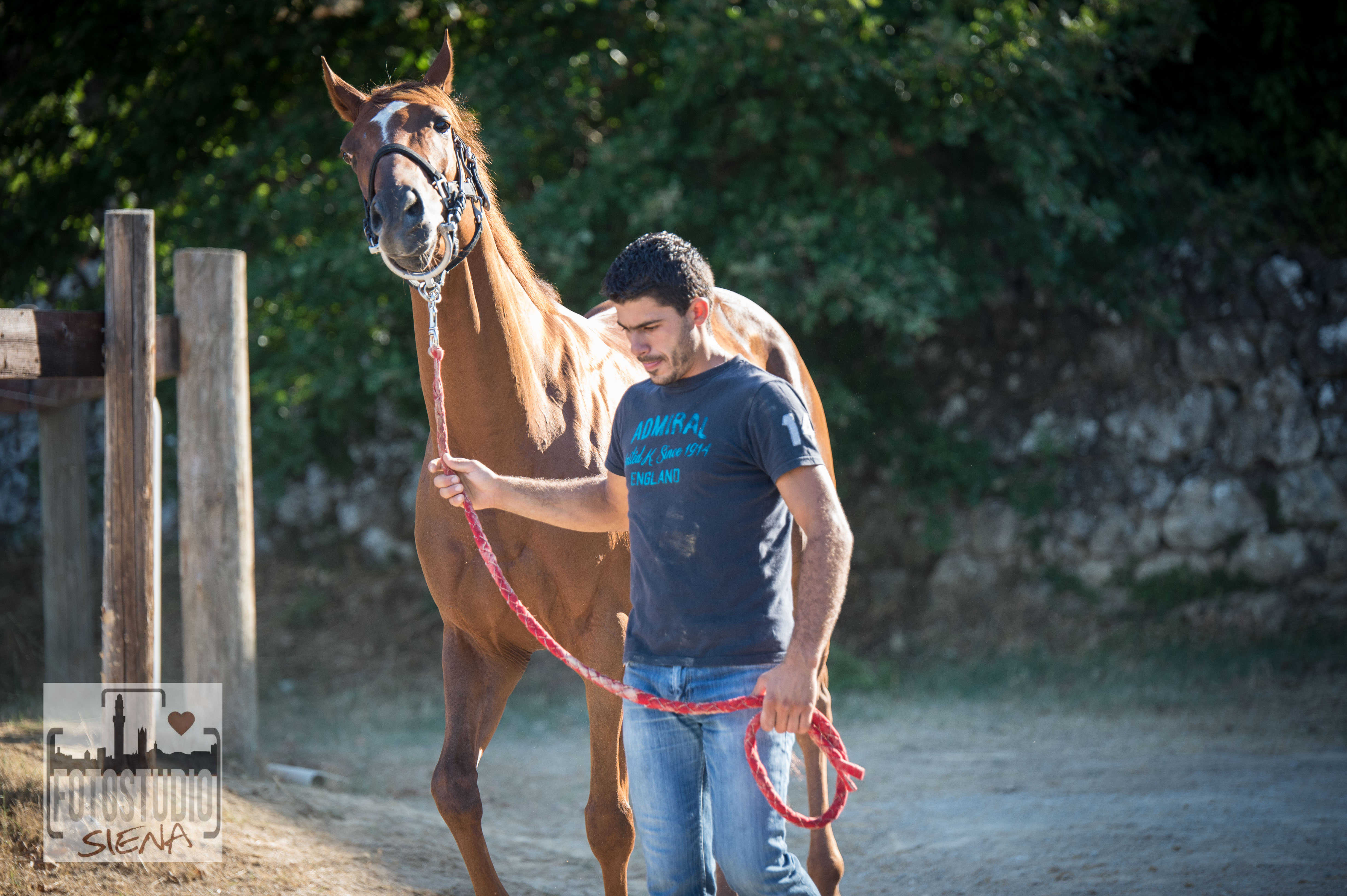 Il 25 novembre torna la previsita per la misurazione dei nuovi cavalli