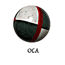 Oggi e domani si vota nell'Oca