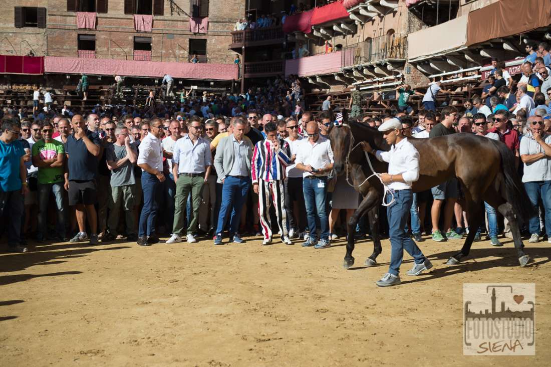 Rinviata alla prossima settimana la festa per Morosita Prima