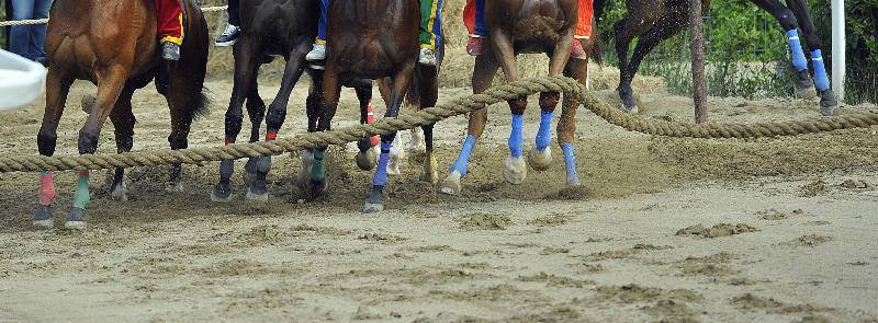 Palio di Bono: vittoria per Giuseppe Ortu