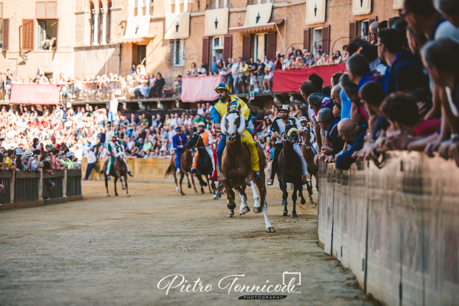 Il ritorno in Piazza del Campo di Nappa II