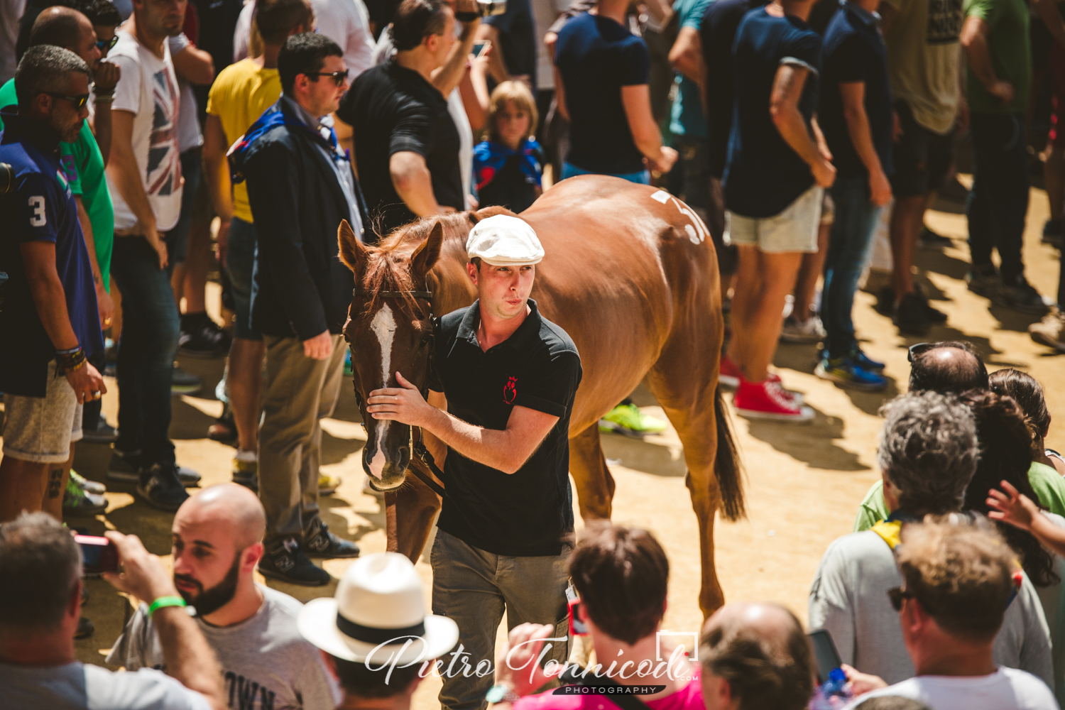 Palio 16 agosto 2018: la fotogallery dell'Assegnazione dei cavalli