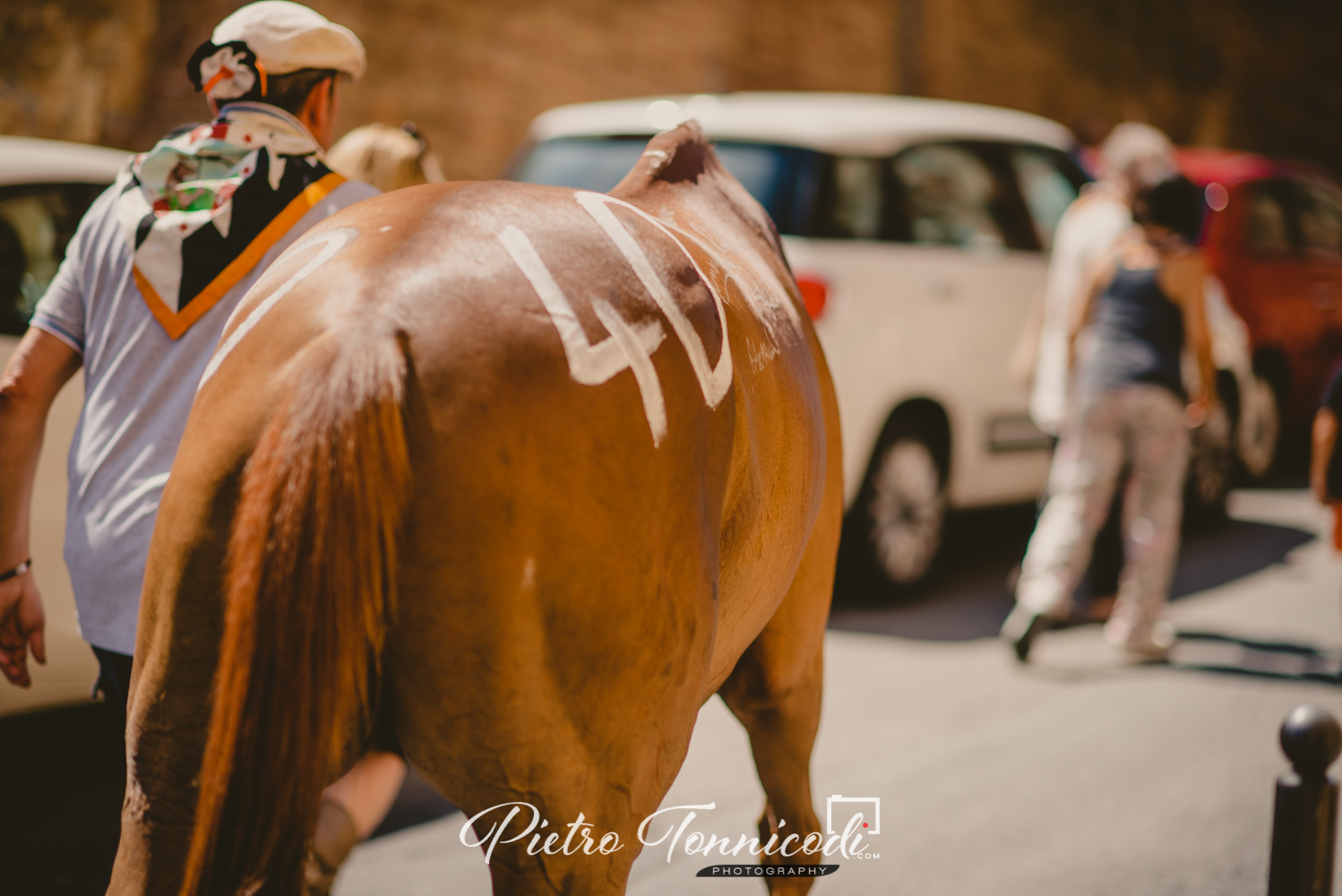 Palio 16 agosto 2018: la fotogallery del Giro della Vittoria della Lupa