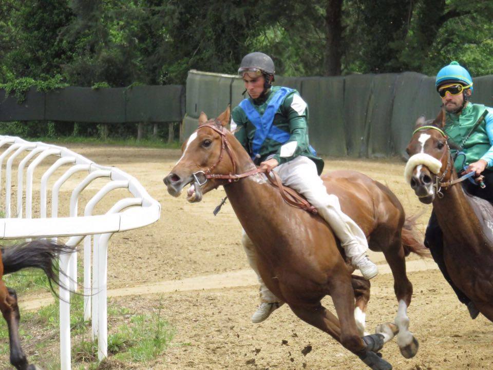 Classifica cavalli: in testa Ondina Prima, Reynard King e Remistirio