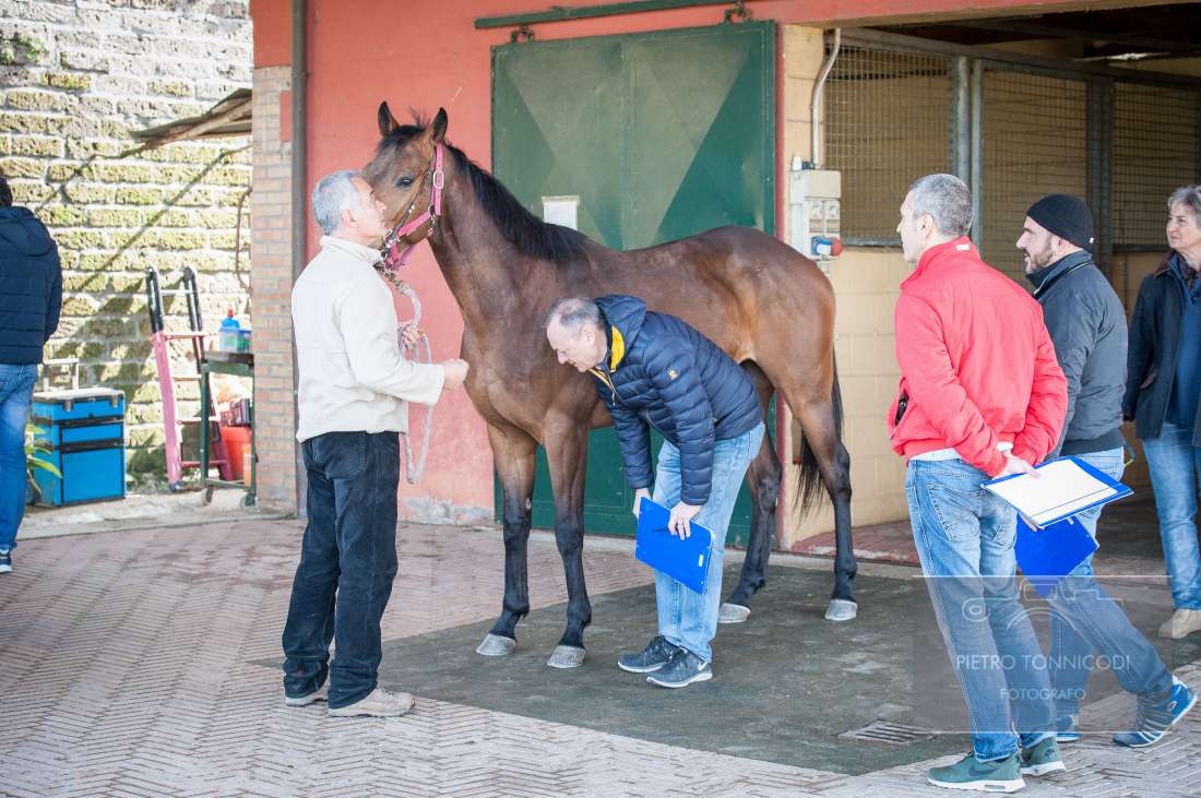 Palio Straordinario: aperte le iscrizioni alle Previsite