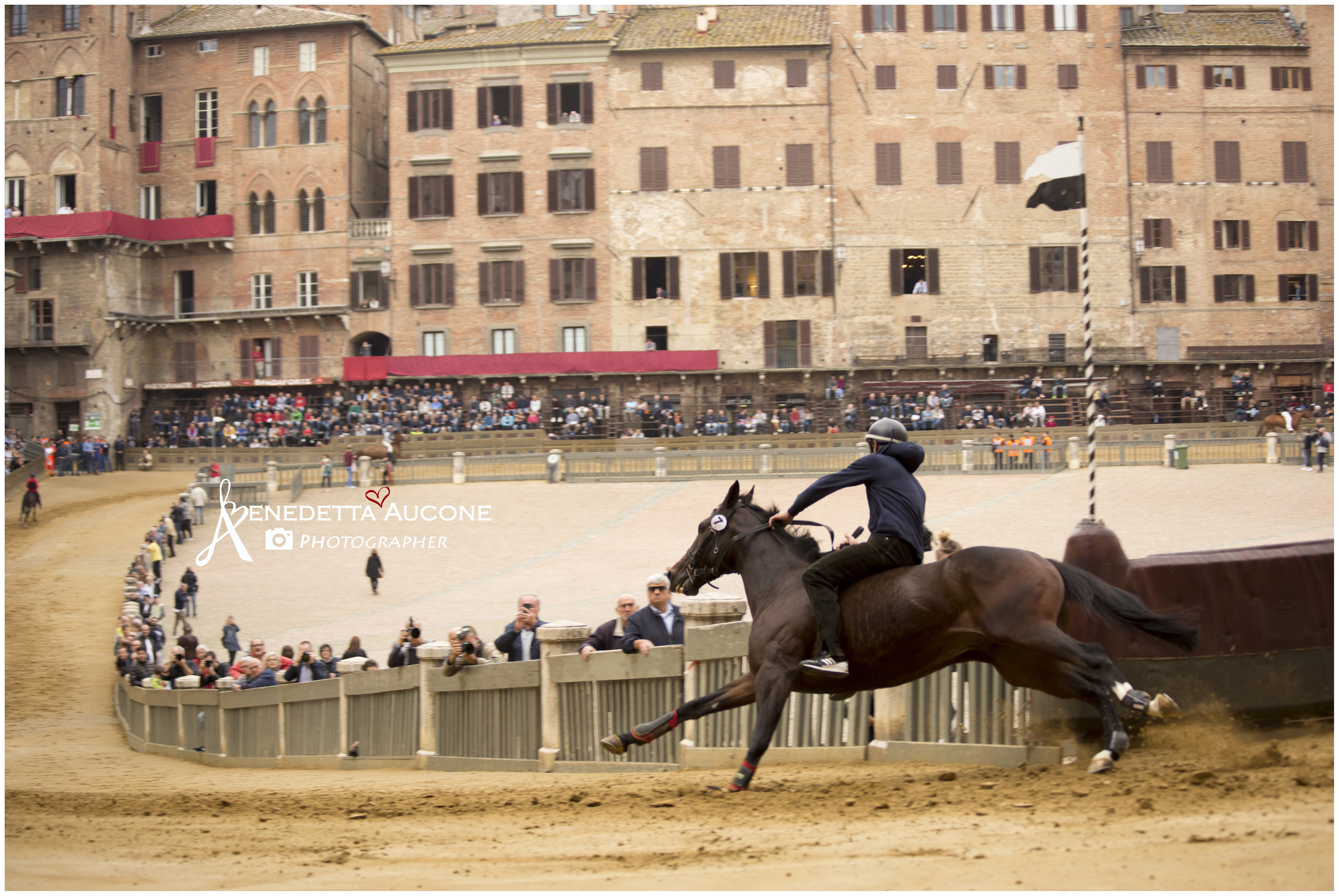 Prove di Addestramento Mattutine: la gallery di Benedetta Aucone