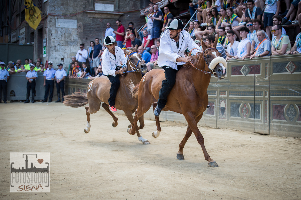 Palio Straordinario: le schede aggiornate dei 29 cavalli ammessi