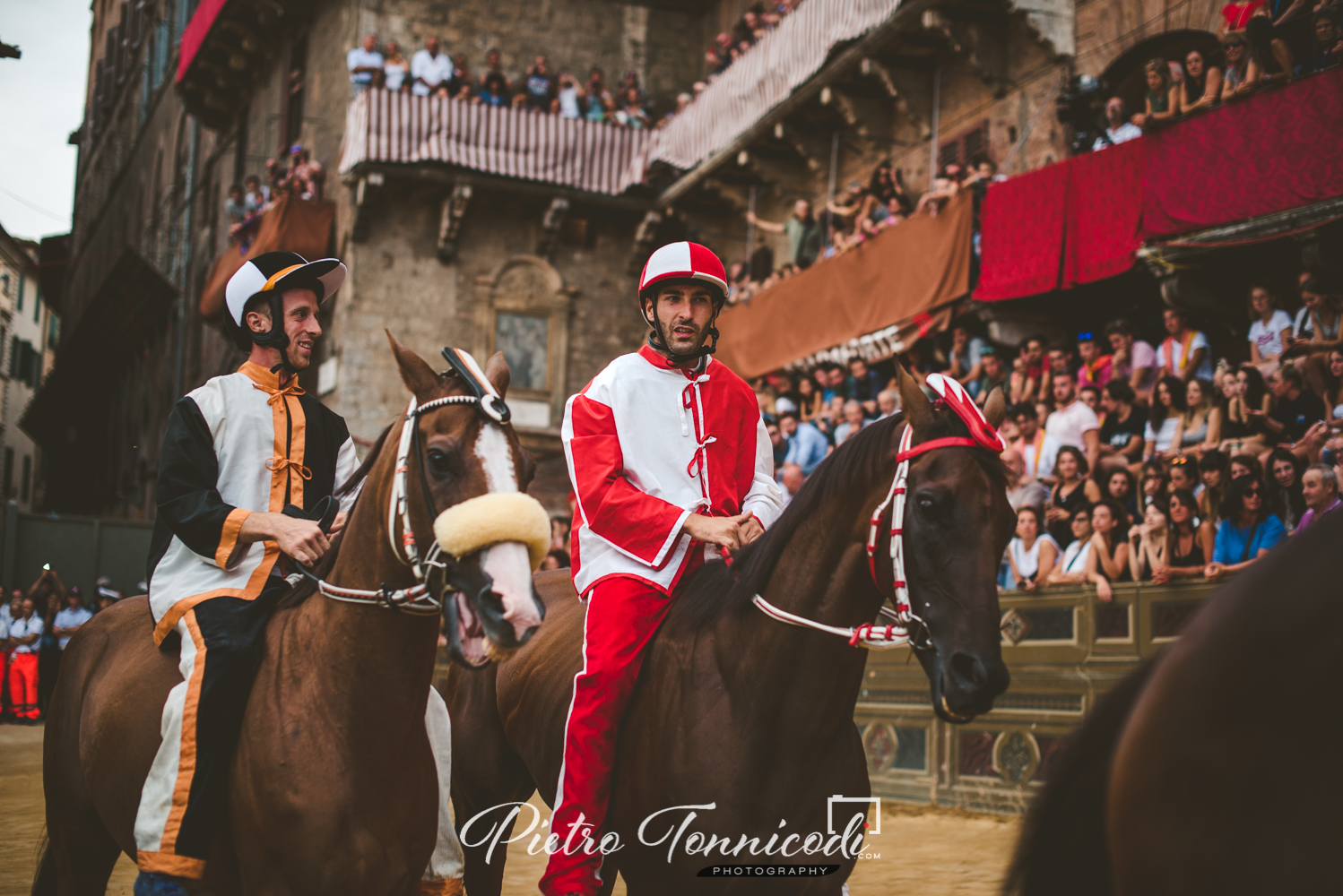 Palio Straordinario: le schede dei 10 cavalli