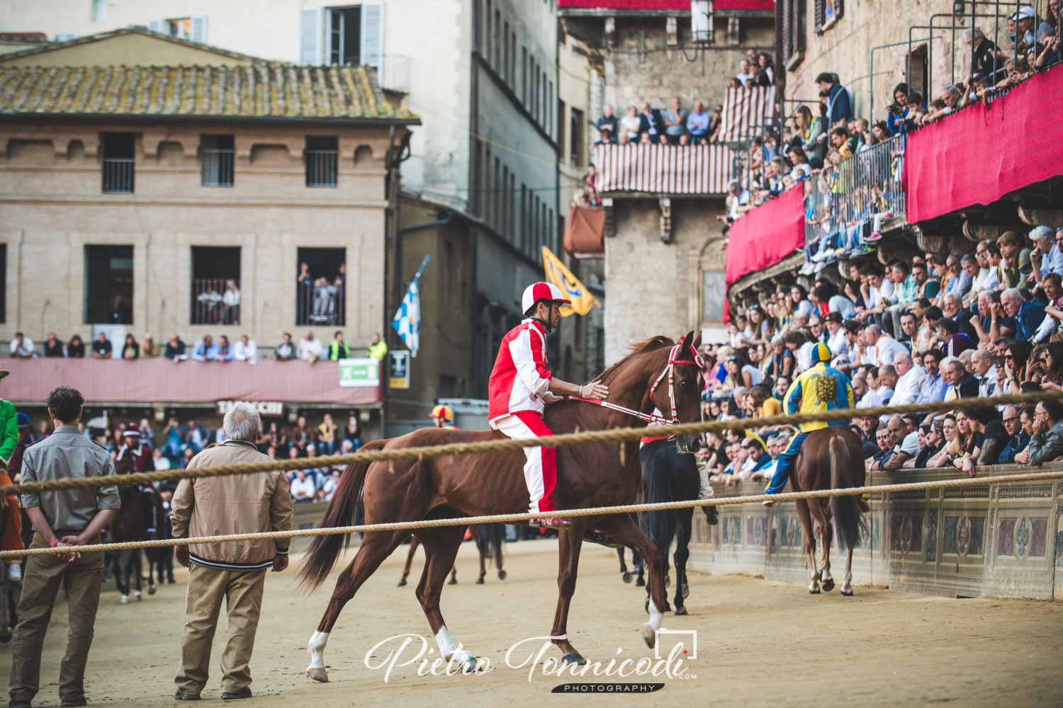 Palio Straordinario: accertamenti per Raol