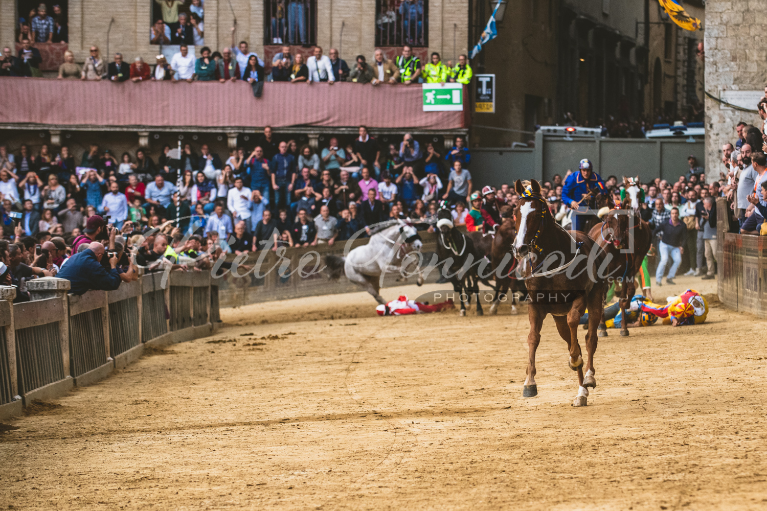 La vittoria di un cavallo scosso mancava da 14 anni