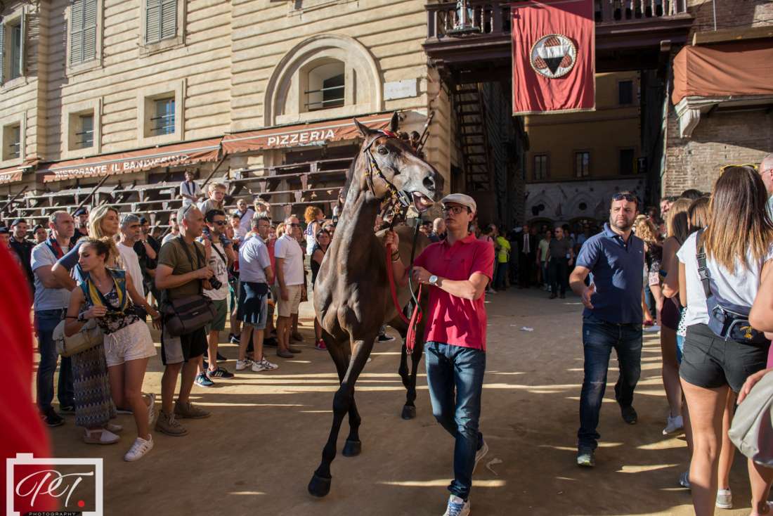 Questa sera la Benedizione della Stalla nelle 17 Contrade