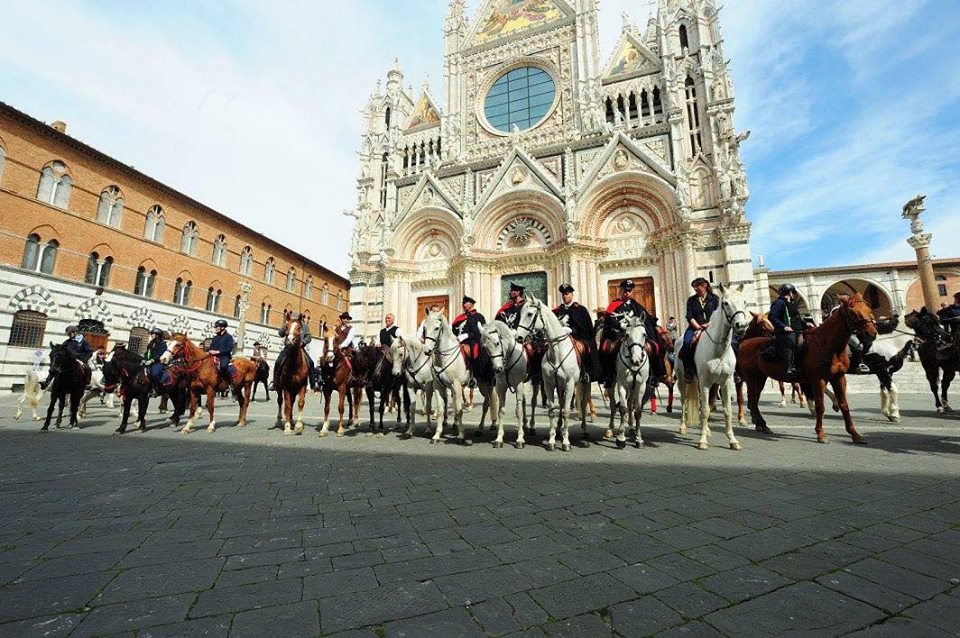 Domani torna 
