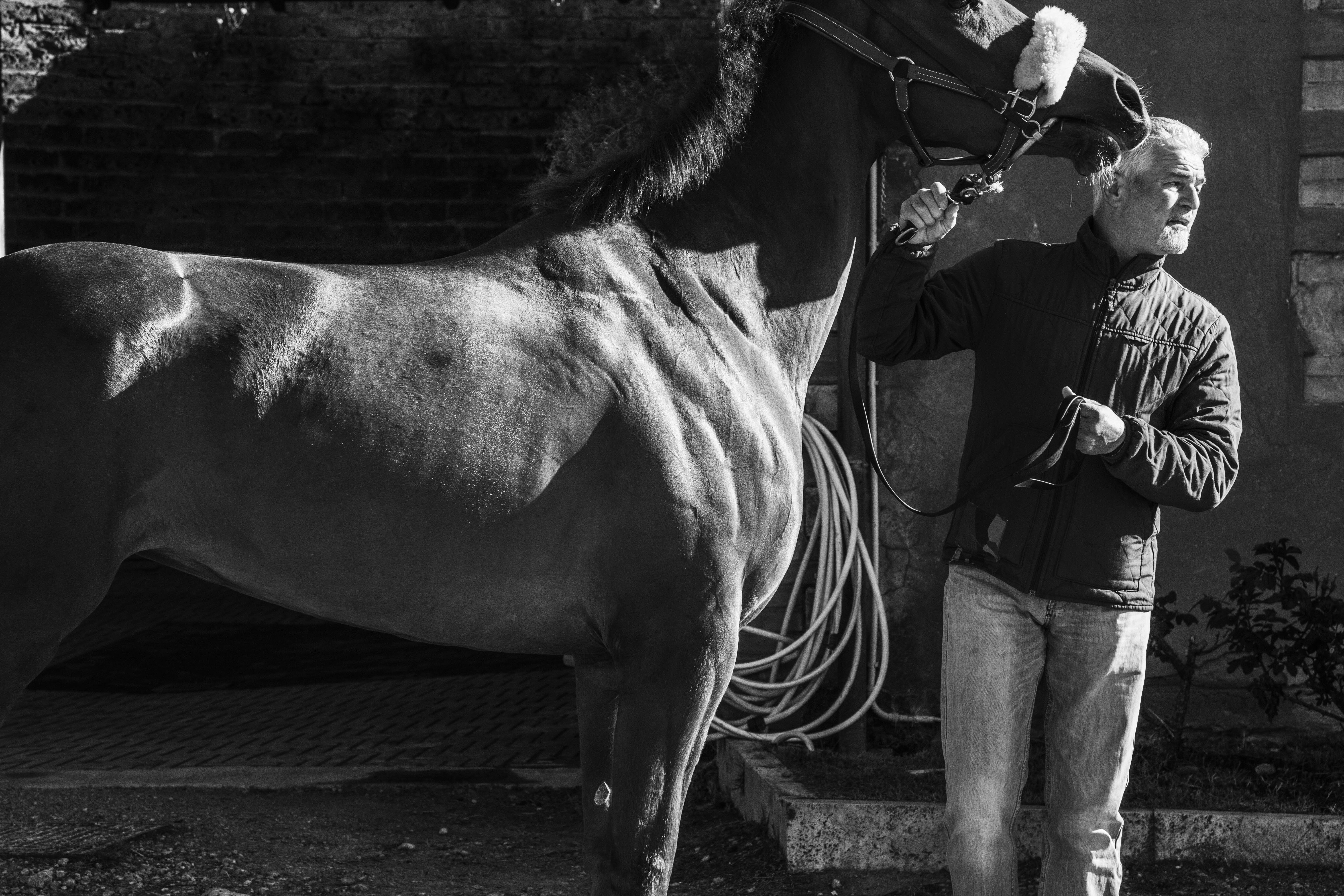 Previsite Albo Cavalli 2019: la fotogallery di Raul Catalani