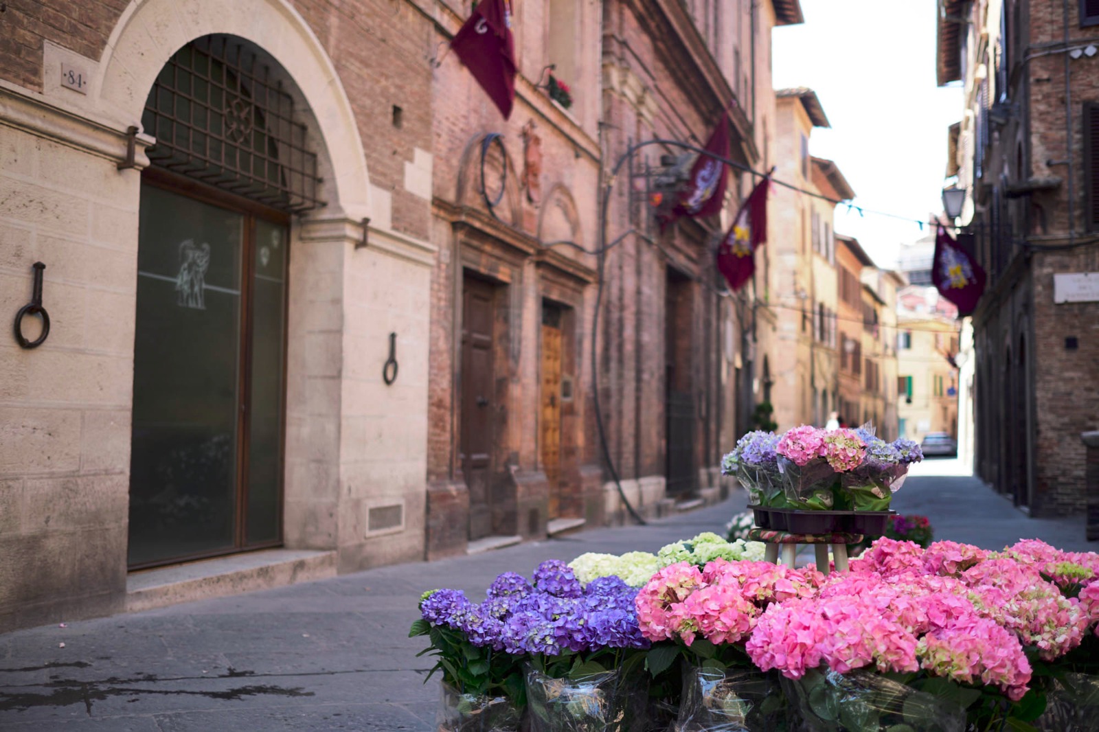Torre: torna l'appuntamento con la Mostra dei Fiori