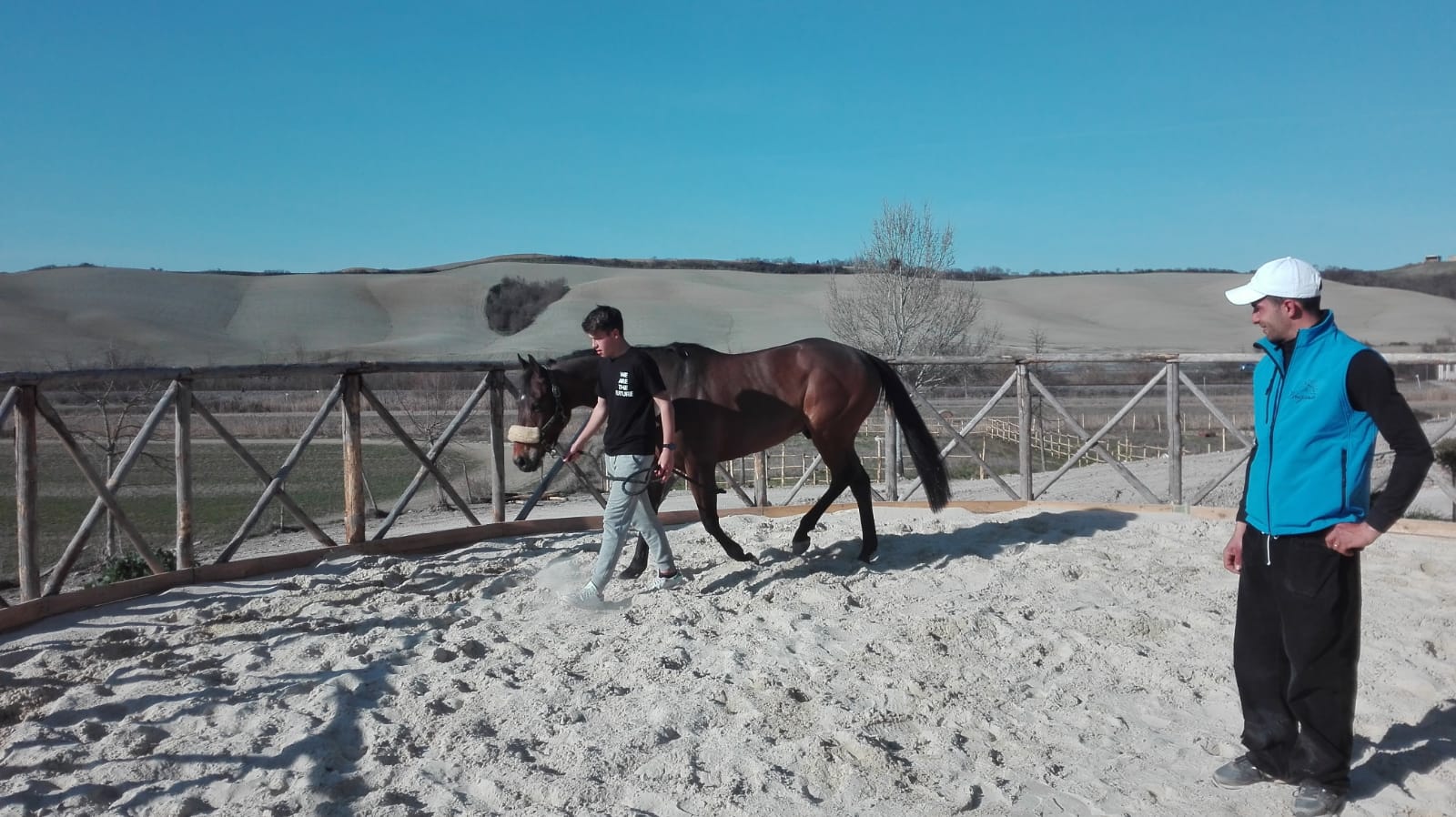 Istituto Ricasoli: il cavallo da Palio si candida a diventare materia di studio