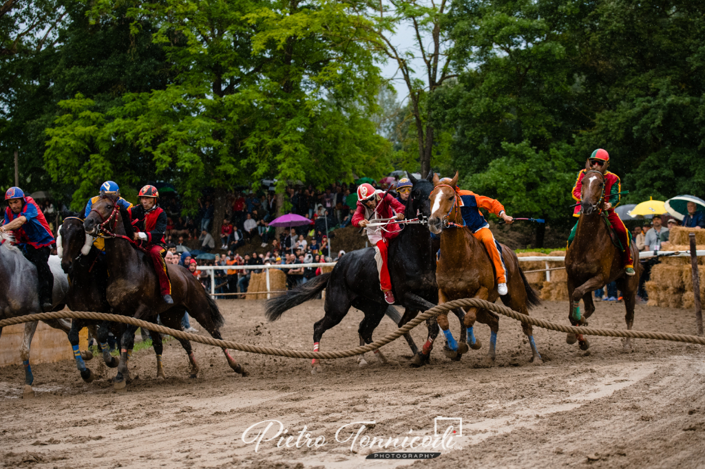 Palio di Fucecchio 2019: le prime ipotesi di monta